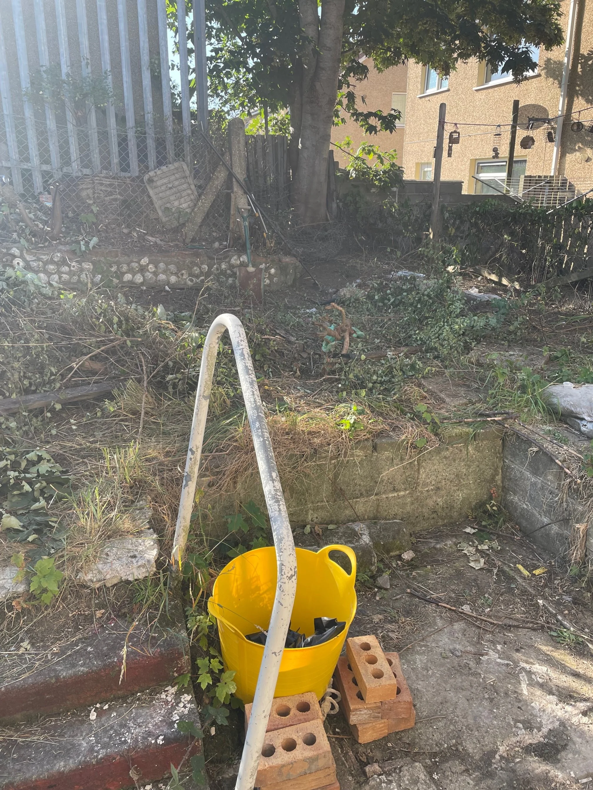Backyard with overgrown weeds, bricks, a yellow bucket on bricks, and a white metal ladder leaning against the bricks, with a tree and a house in the background.
