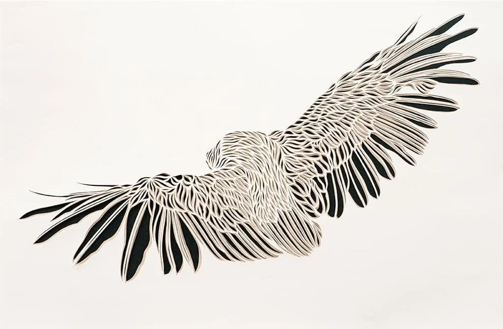 Clare Dunne at Phil Space