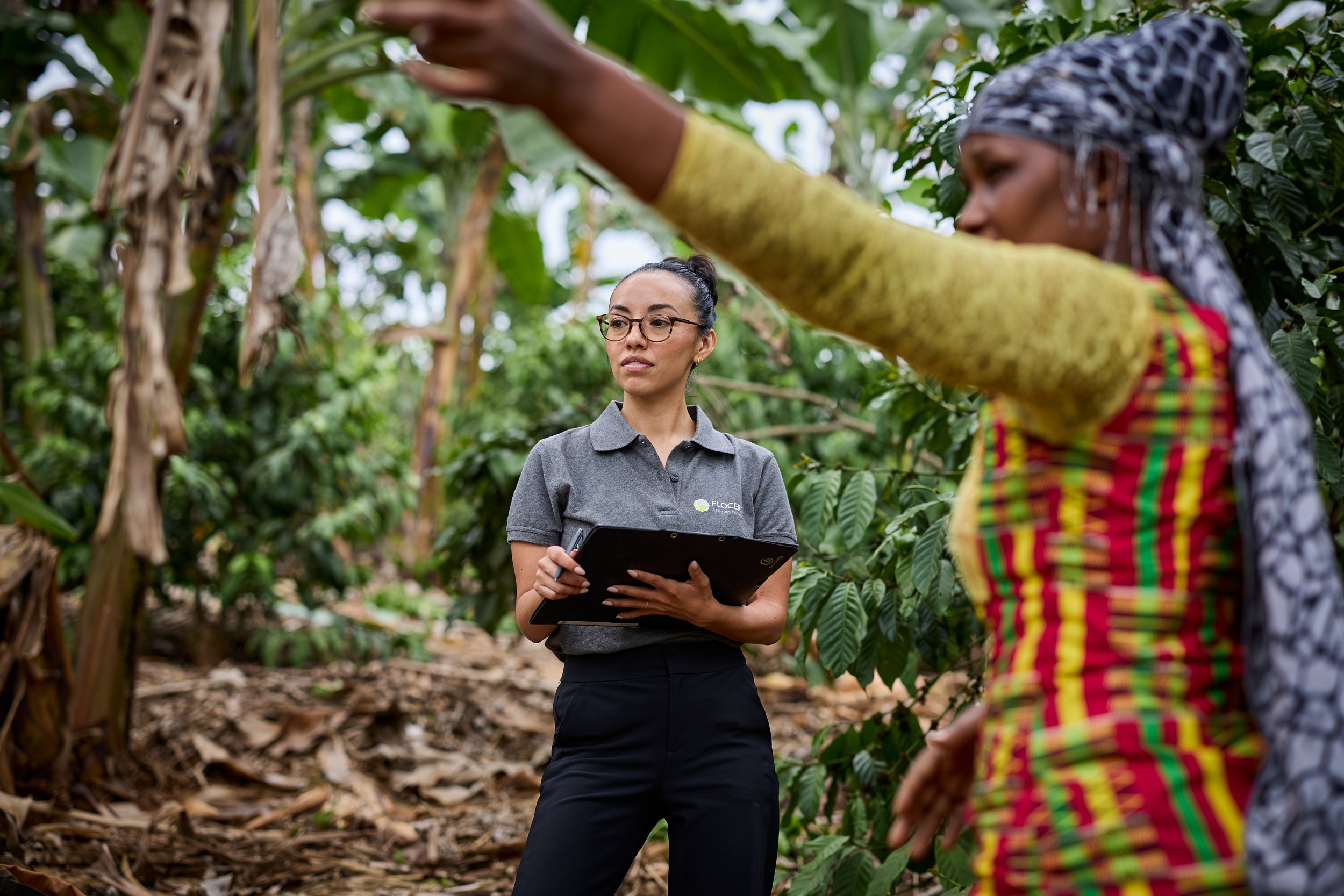 Two women in a lush coffee plantation. One woman with glasses and a gray polo shirt holds a clipboard, listening attentively. The other woman, wearing traditional colorful clothing and a headscarf, is pointing towards the plants.