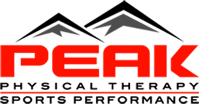 Peak Logo.png