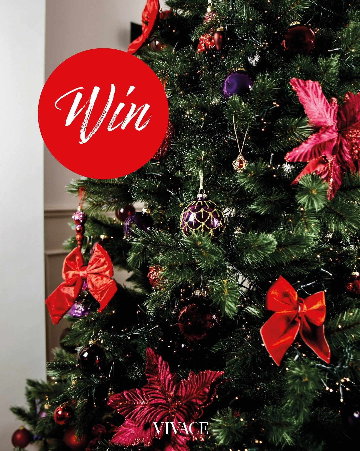 ✨ 𝗪𝗜𝗡! &bull; 𝗪𝗜𝗡! &bull; 𝗪𝗜𝗡! ✨ 

Maak kans op een kerstboomdecoratie huurpakket van @celebratable_celebrating_life t.w.v. ca. &euro; 75,-!

Dit moet je doen om kans te maken:
&bull; Volg Vivace &eacute;n Celebratable. 
&bull; Tag minimaal 