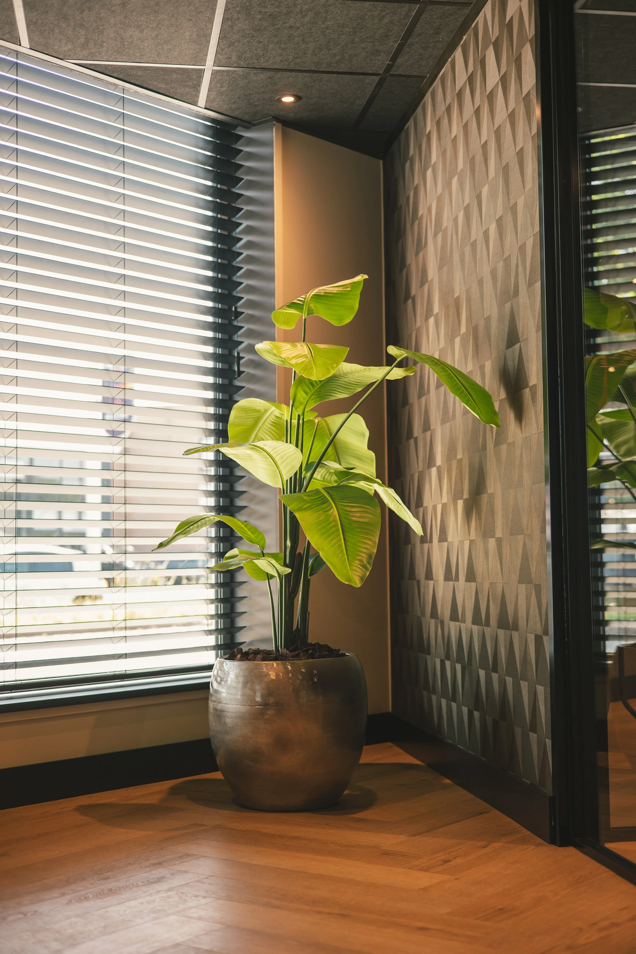 Klantverhaal-LWPS-20.jpg