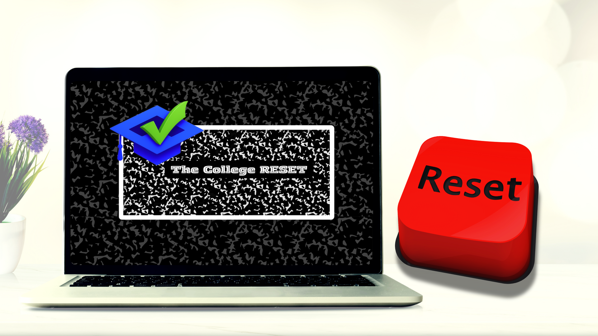 THE COLLEGE RESET WEBINAR