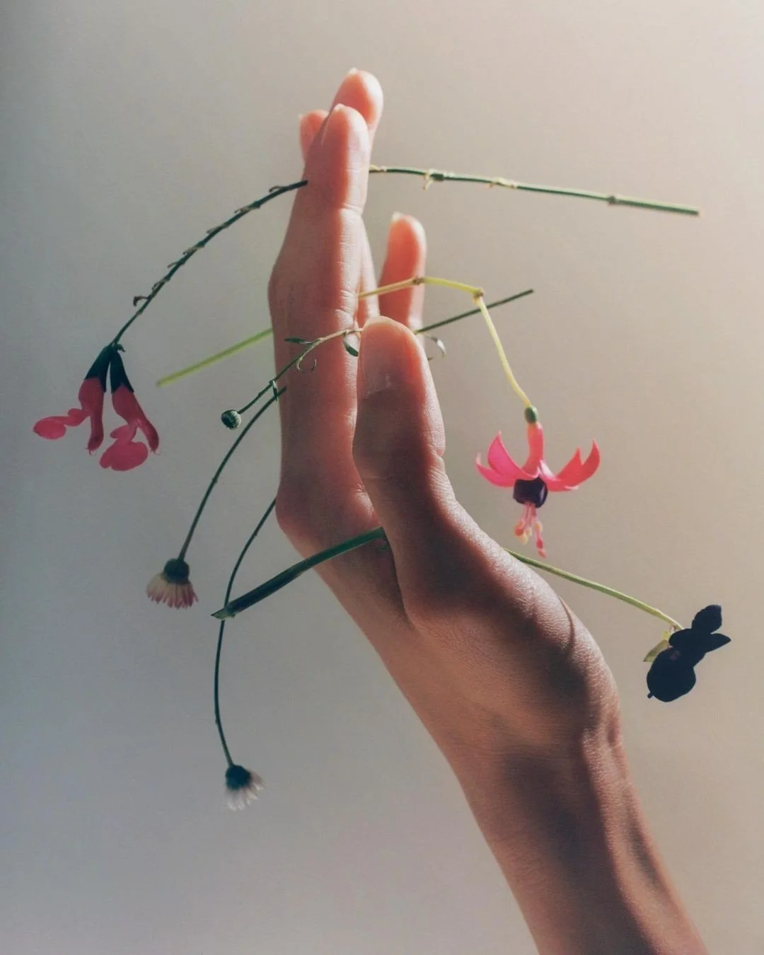 Mano sosteniendo varias flores pequeñas y delgadas en diferentes colores y formas, con un fondo neutral.
