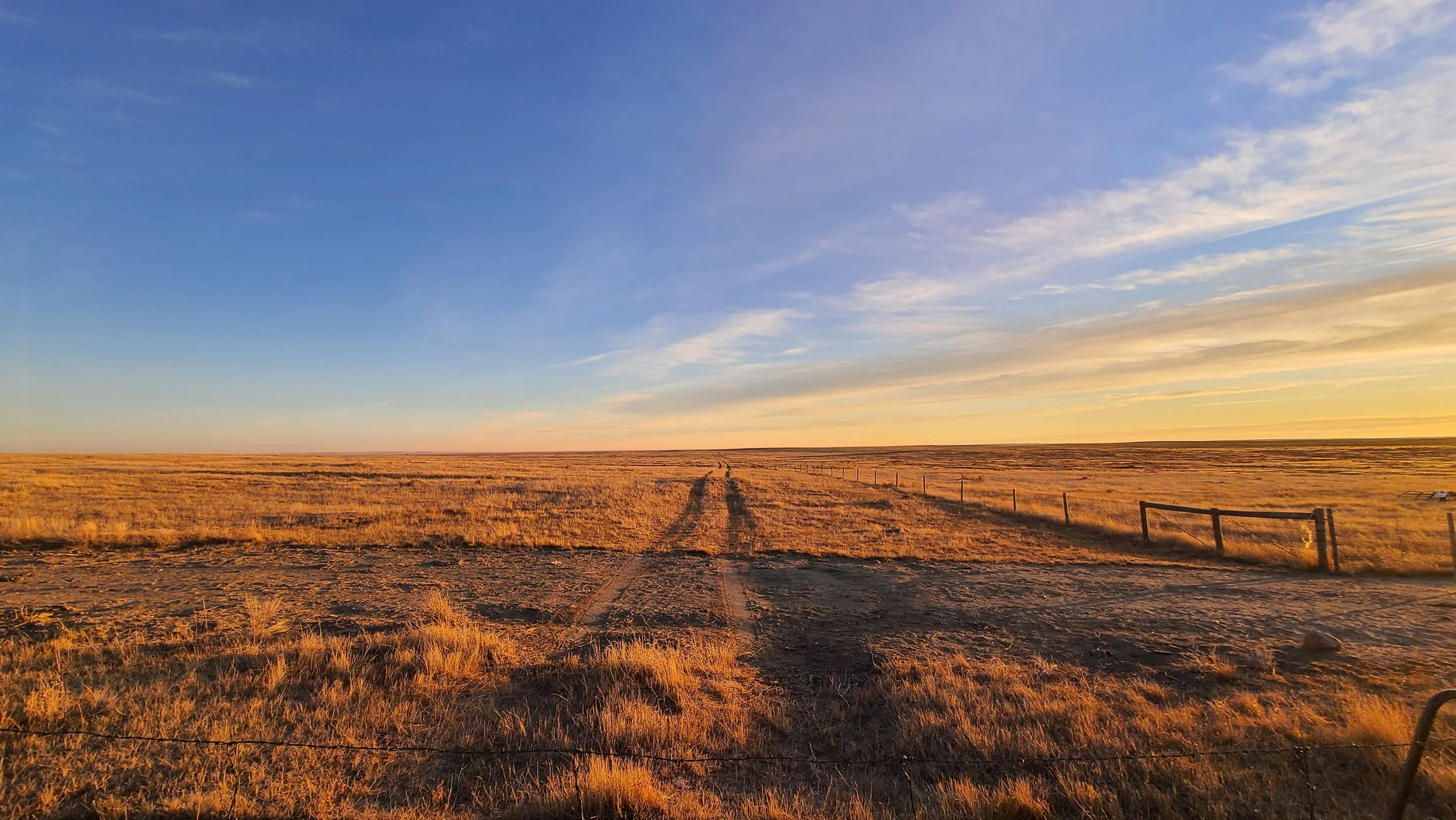 Alberta prairie tracks