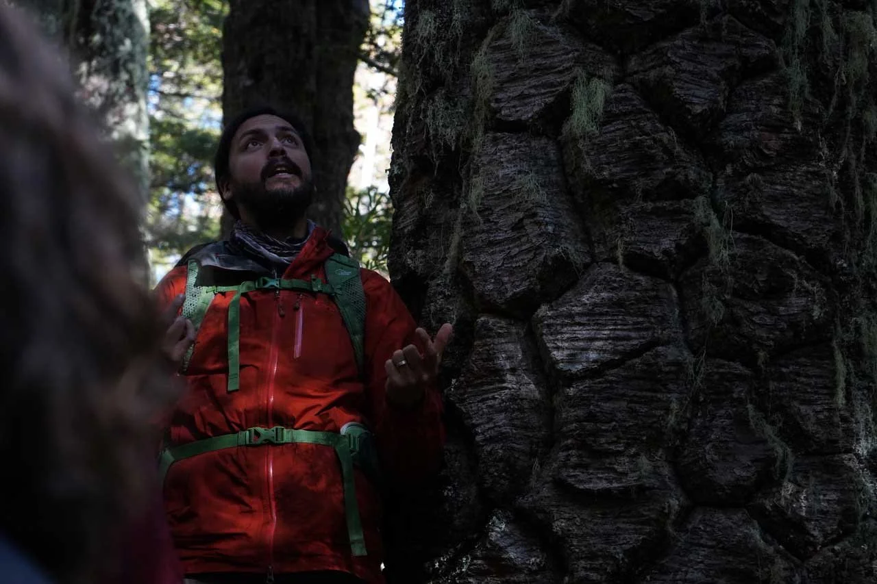 Valley of the Possible