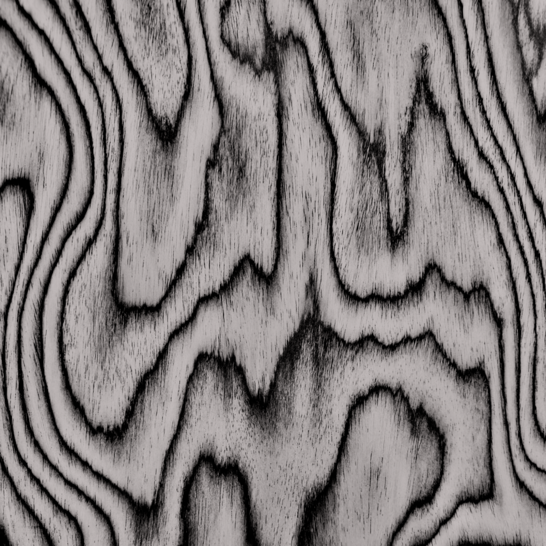 Close-up of wood grain with dark, wavy lines and knots in black and white