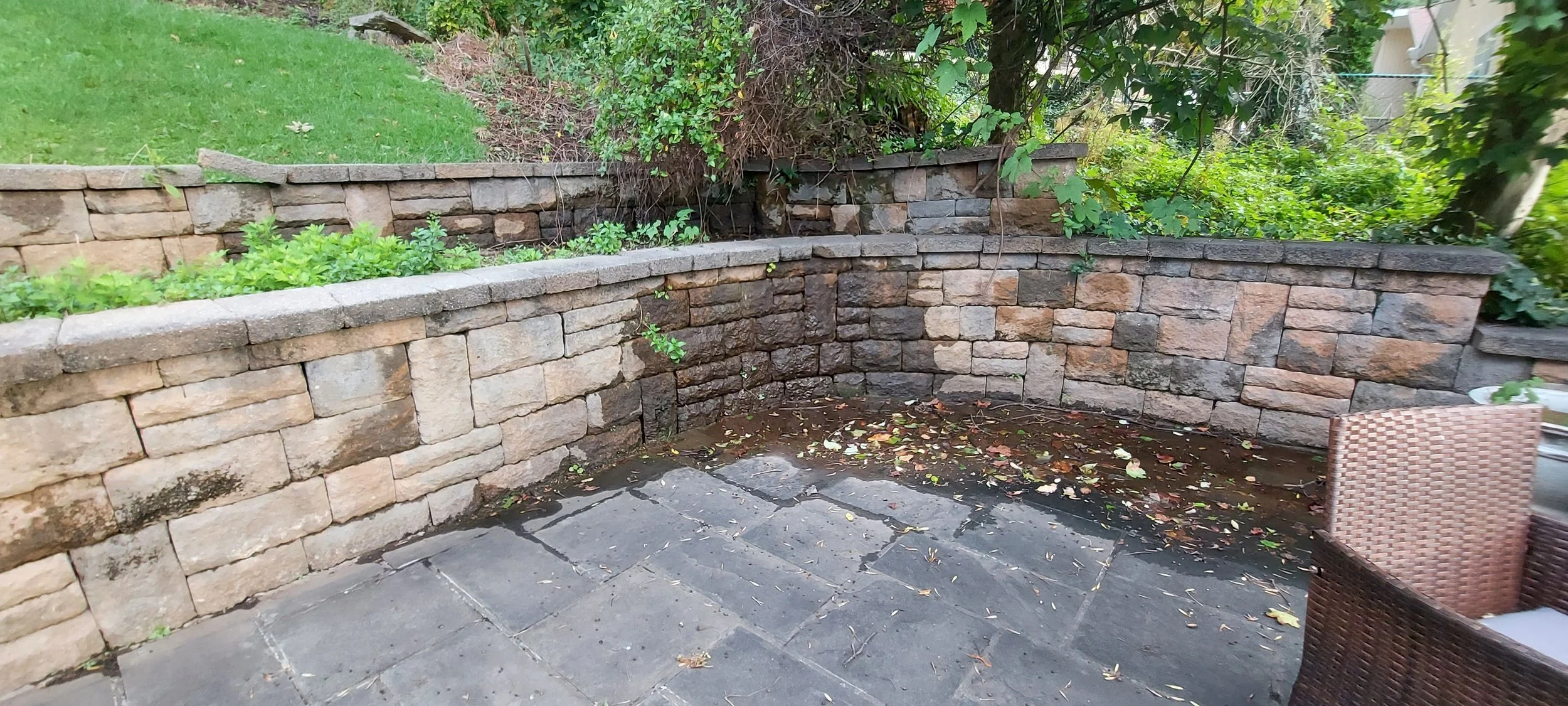 20230928_075655.jpg