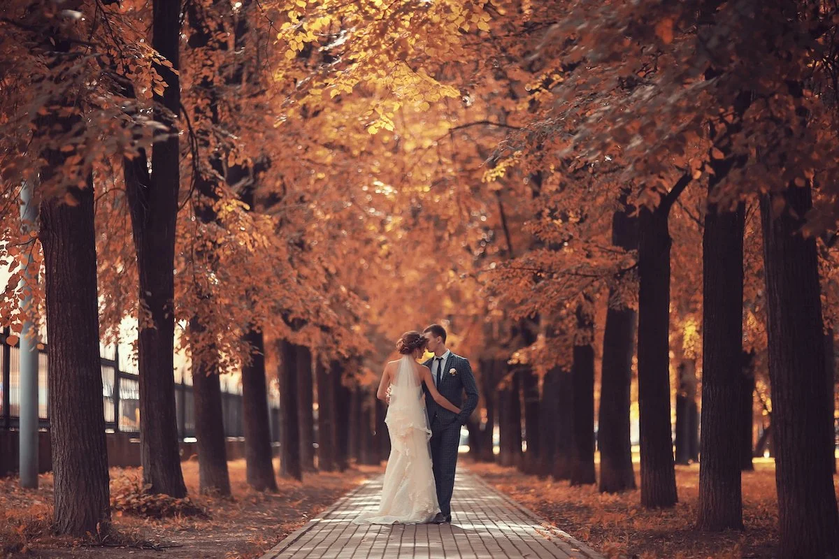 68 Fall Wedding Guest Dresses To Celebrate Autumn Vows