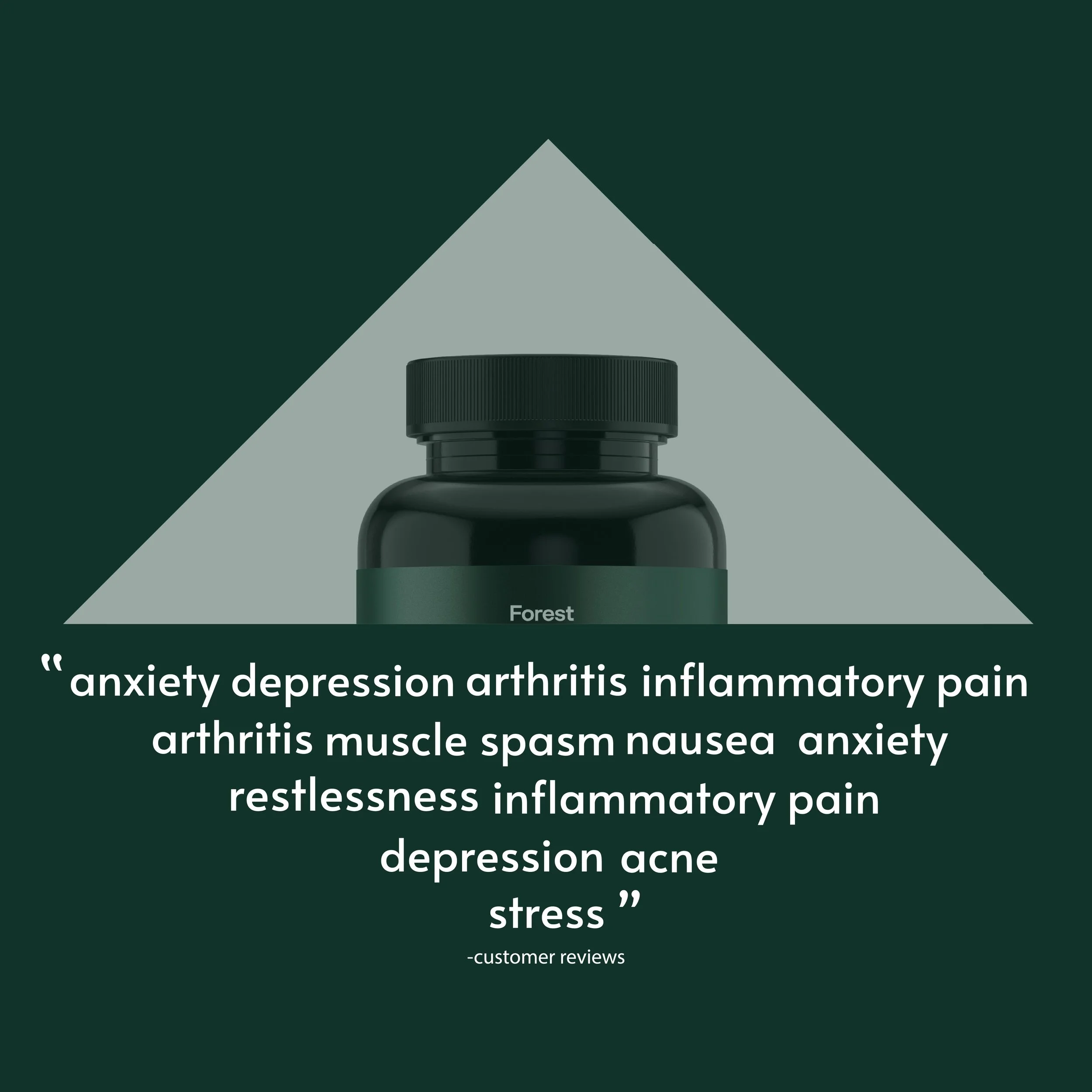 FOREST INTERNSHIP -03.jpg