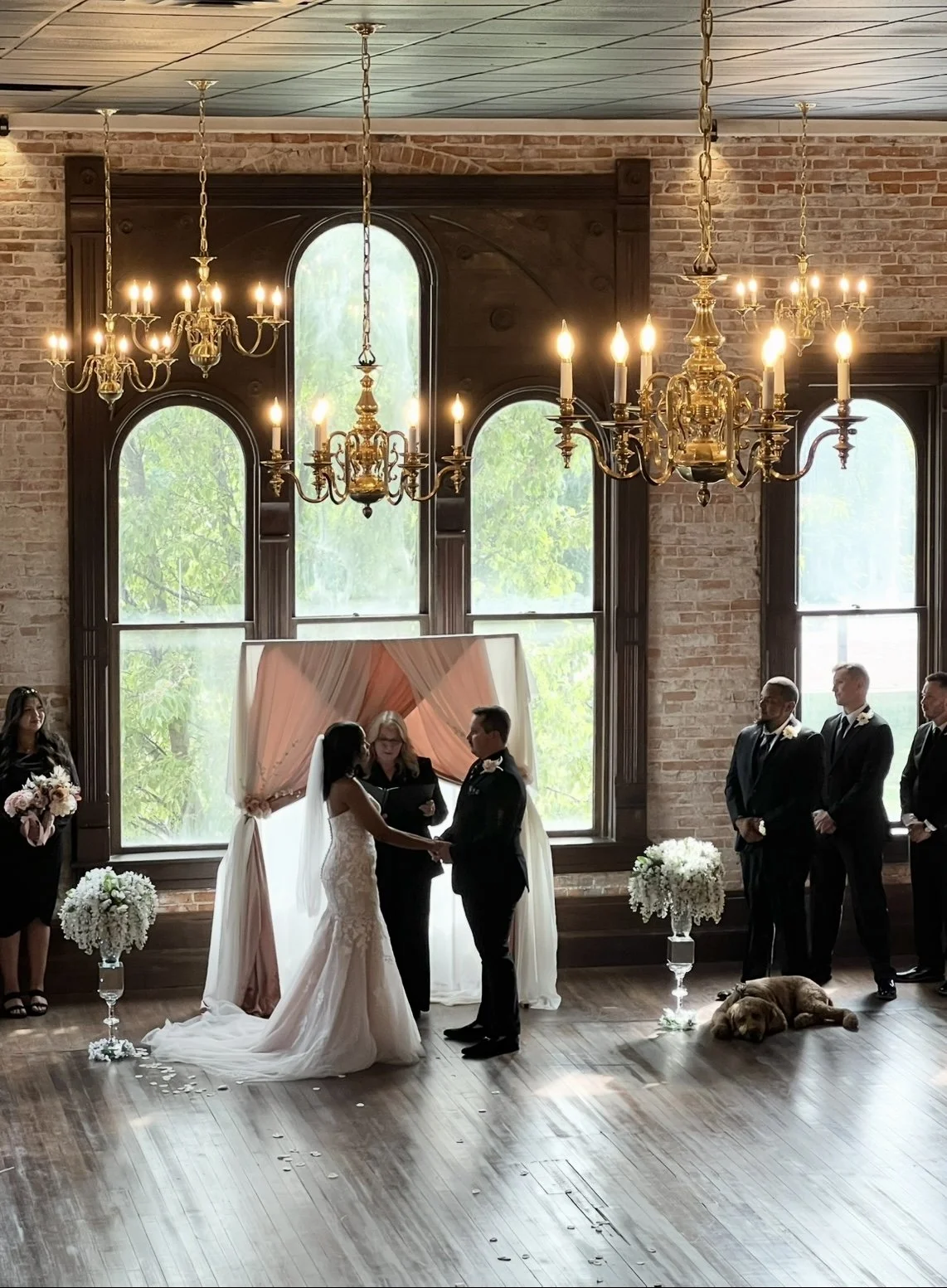 A Guide to Including Your Pet in Your Wedding at Loft 1884