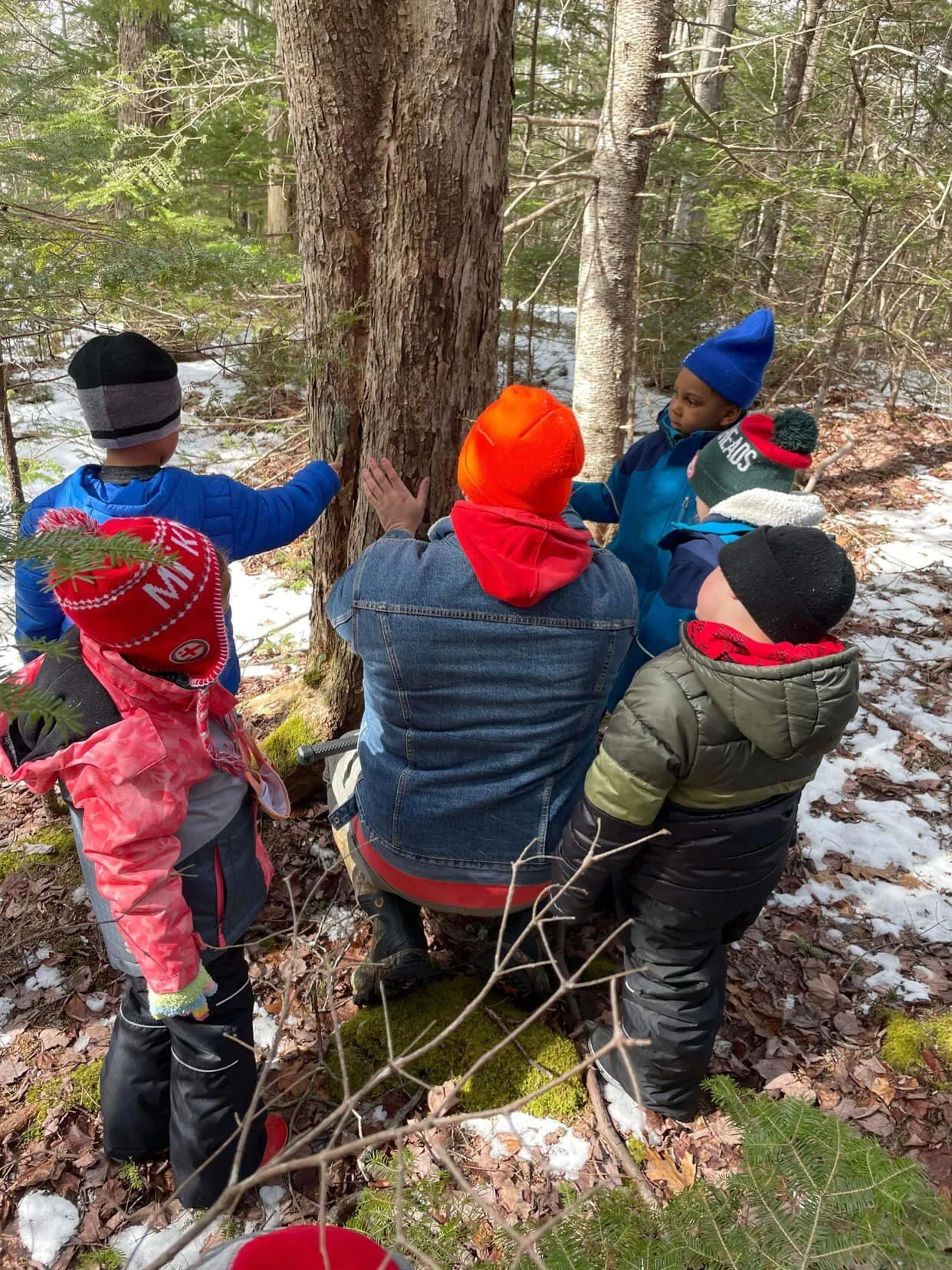 A group of children, dressed in winter clothing and hats, gathered around a person sitting on the ground, all focused on a fallen tree in a snowy forest.