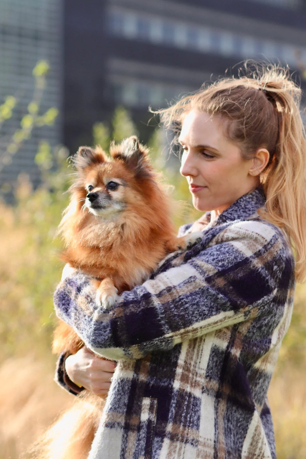 Femme tenant un chien de petite taille dans un parc en plein air