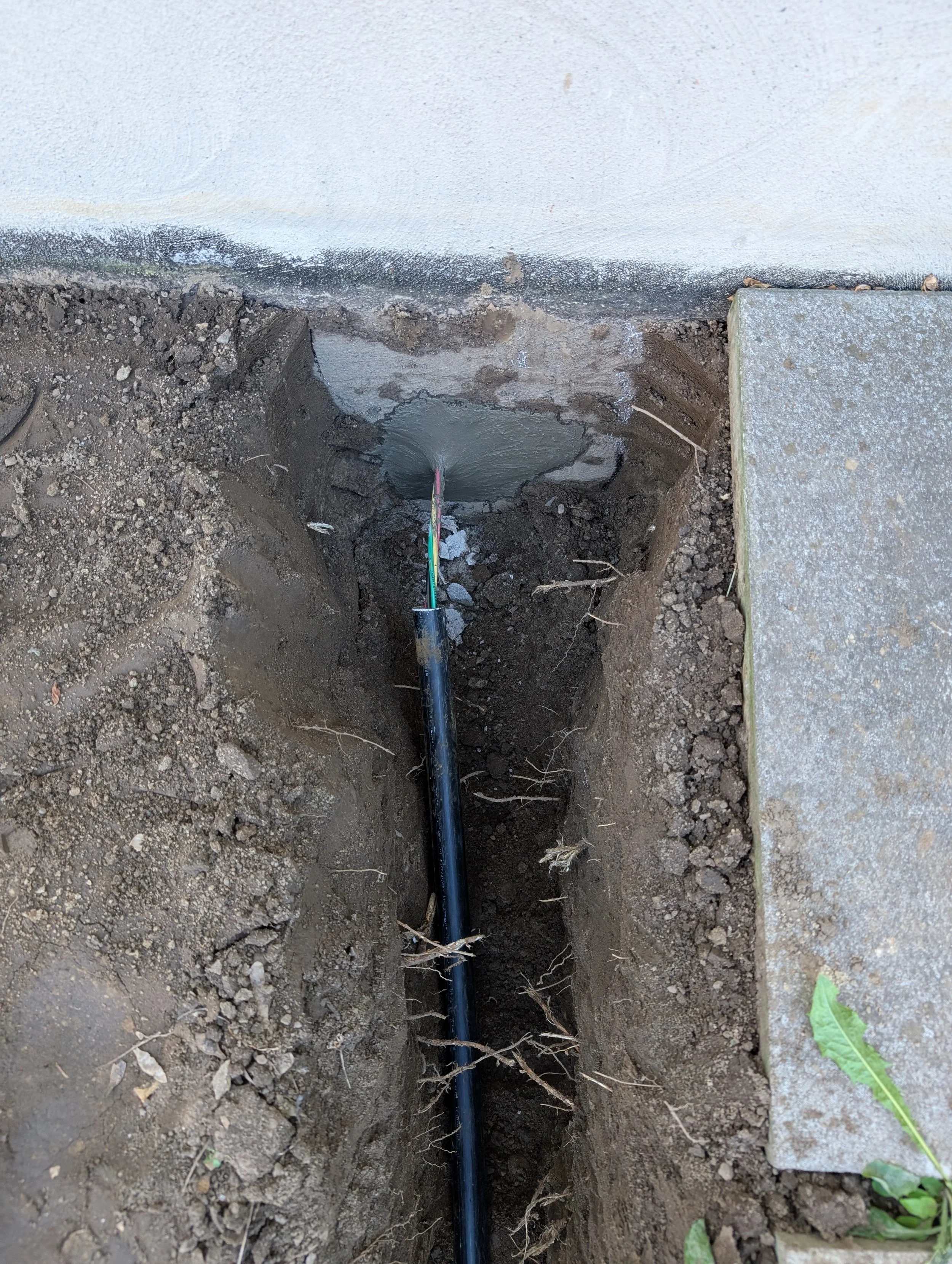 An underground water pipe being installed beneath a concrete slab with surrounding soil and some small plants.