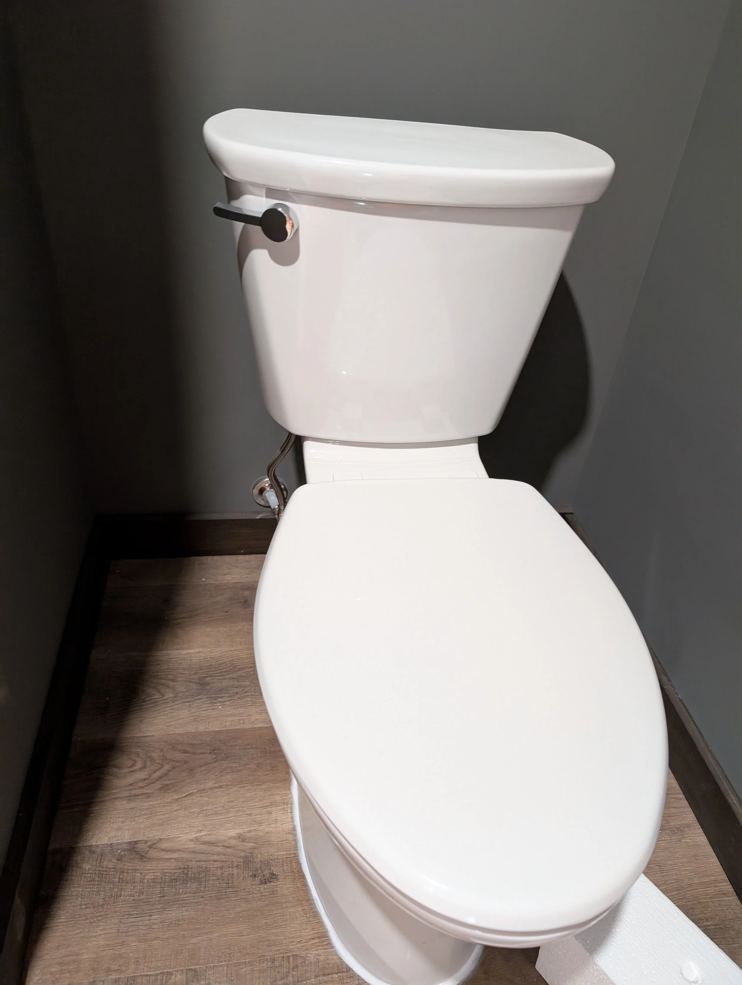 White toilet fixture in a bathroom with dark walls and wooden flooring.