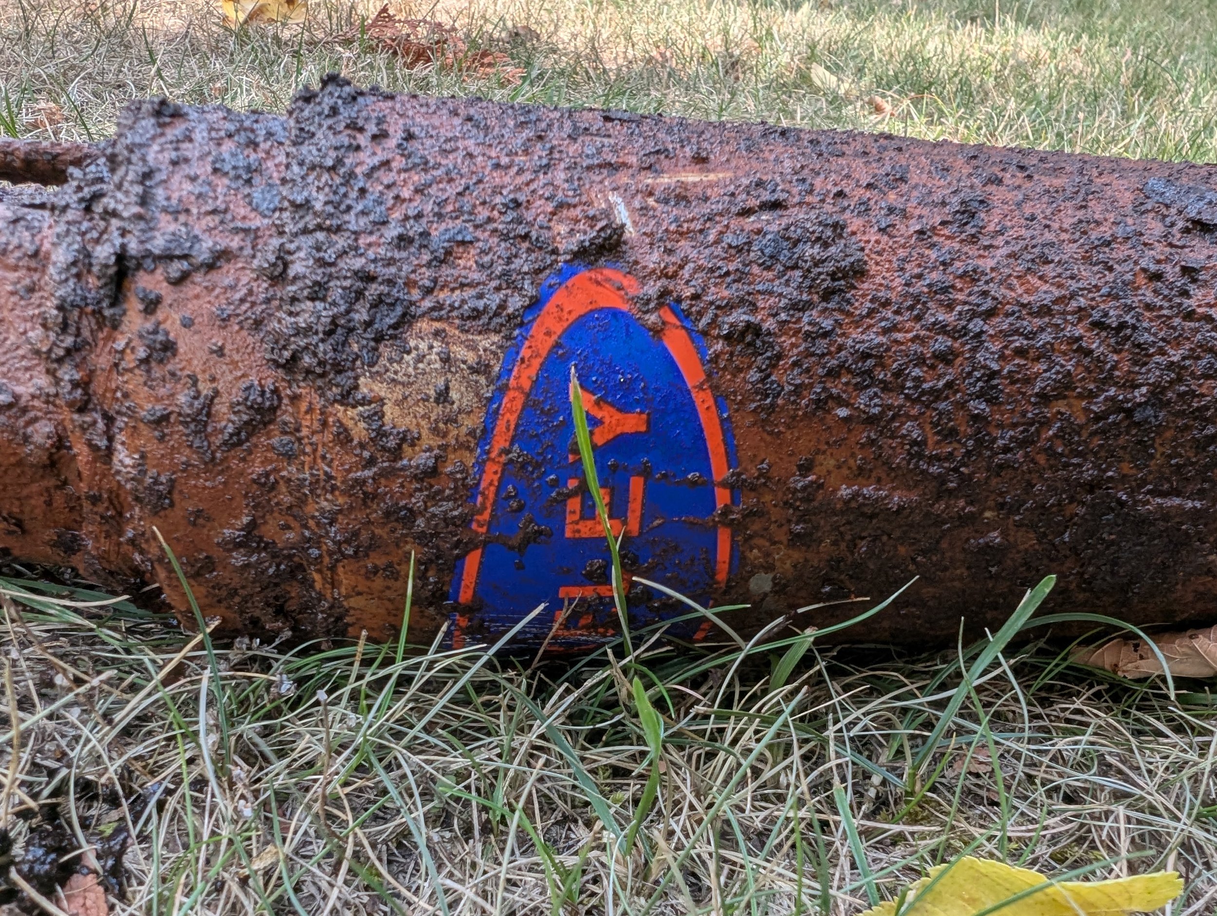 Close-up of a rusted metal object, partially covered in dirt and grass, outdoors on a grassy area.