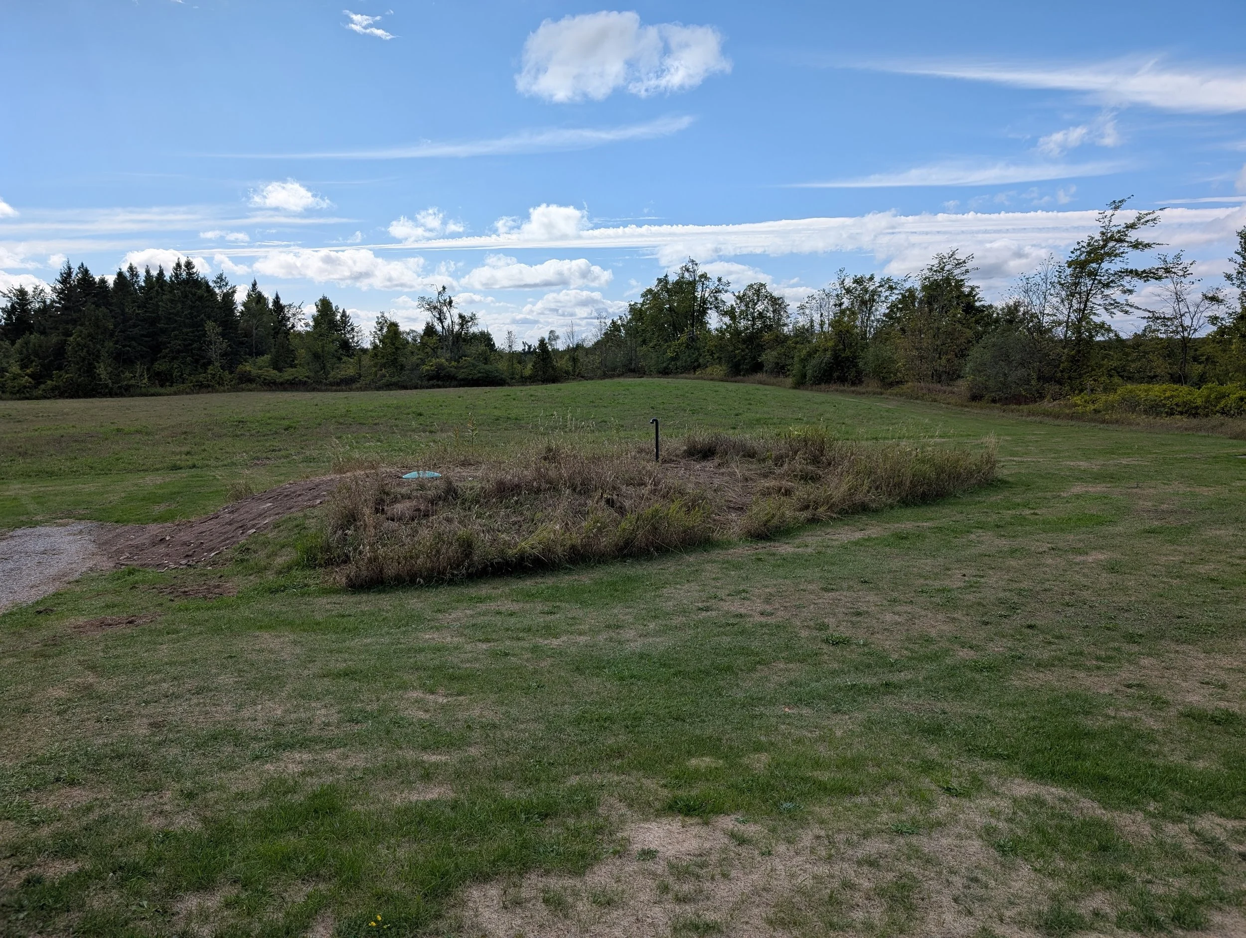 PXL_20250904_195227655 (1).jpg