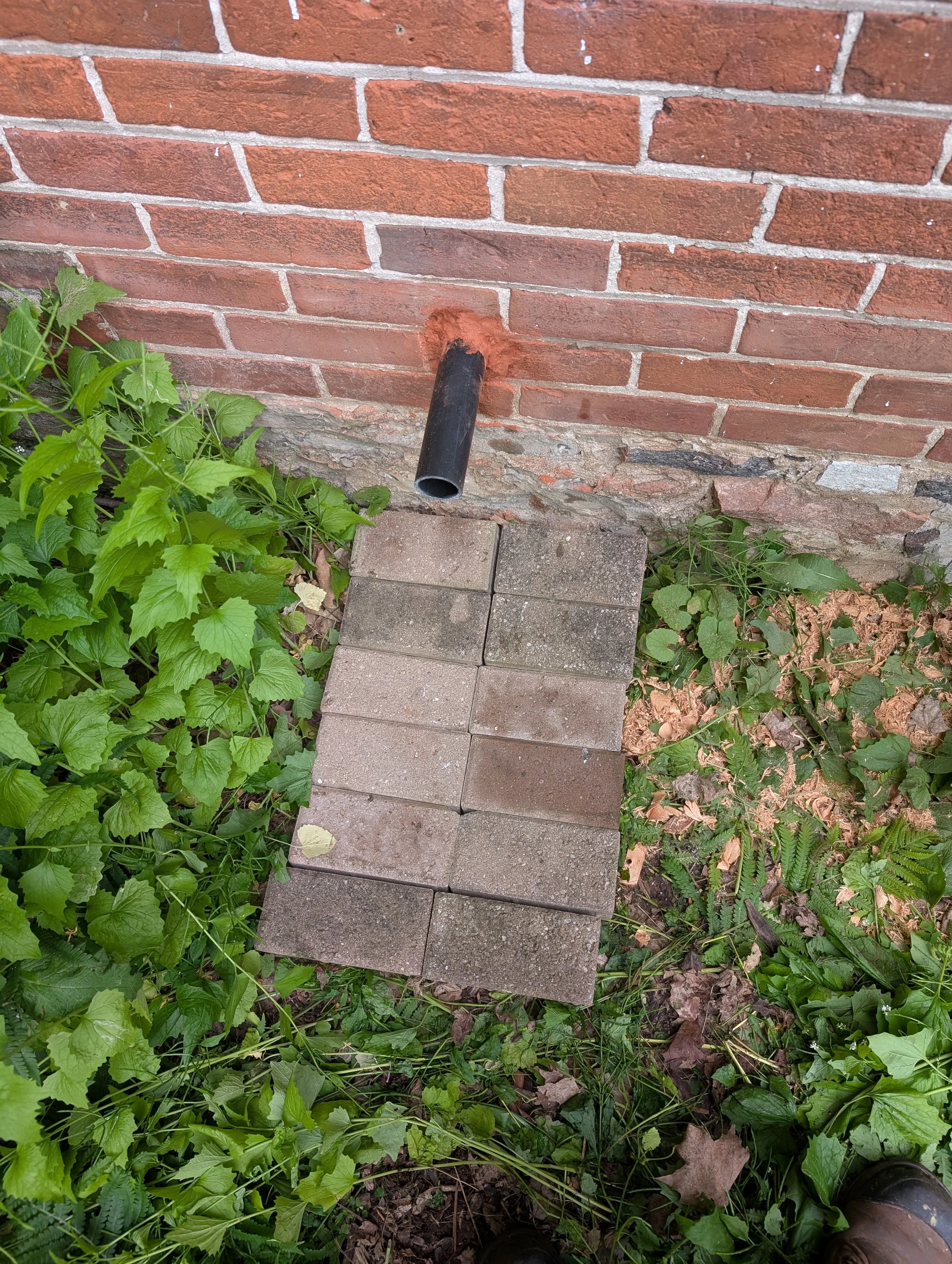 A brick wall with a metal pipe protruding from it, surrounded by green plants and paving stones on the ground.