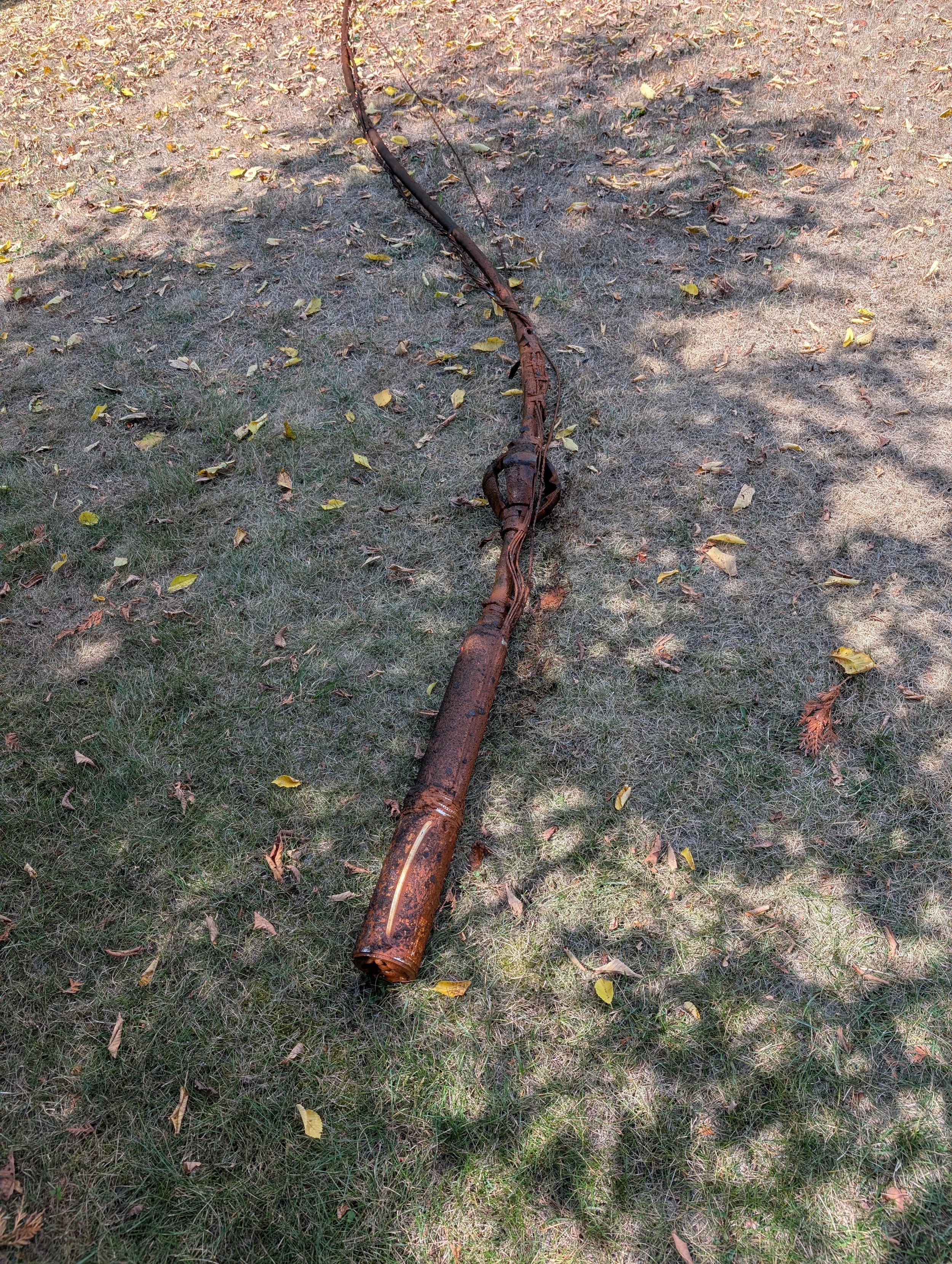 A rusty, old metal pole lies on the grass, with small yellow leaves scattered on the ground around it and cast shadows from nearby trees.