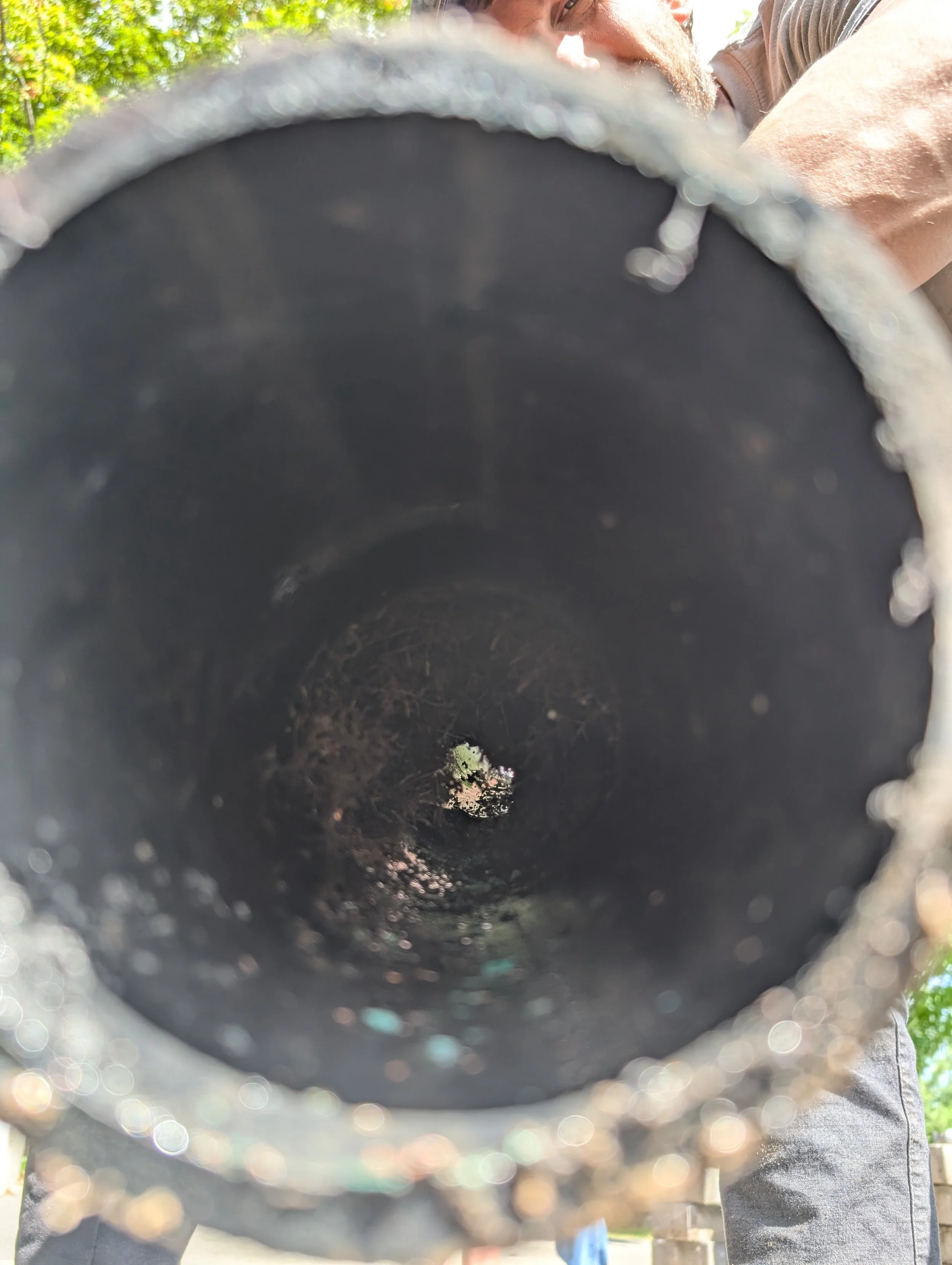 Close-up view inside a pipe with soil and a tiny green plant growing at the bottom. A person is seen bending over outside the pipe.