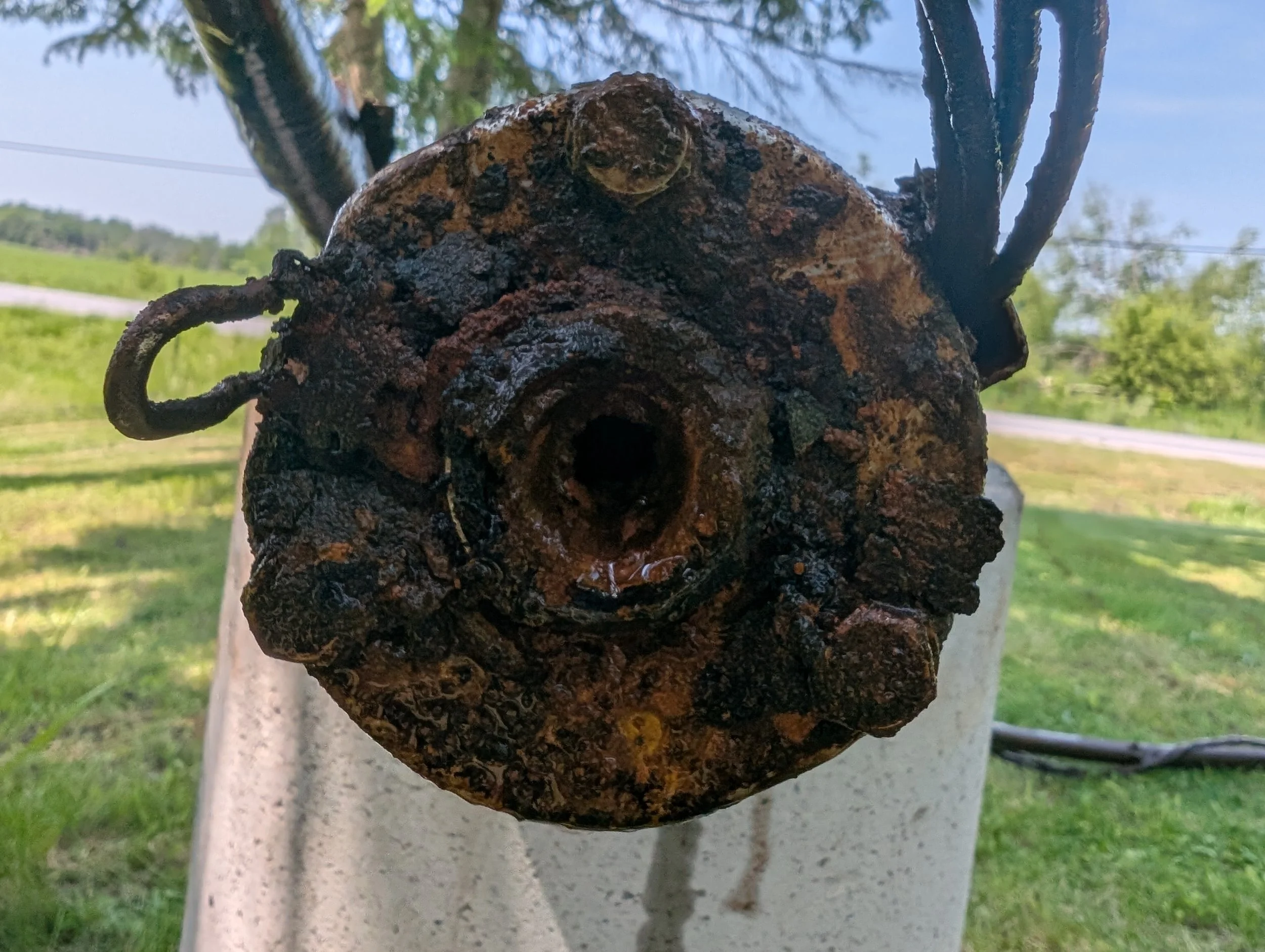 Close-up of a rusty, weathered birdhouse with a small opening, hanging from a tree branch in an outdoor setting with green grass and trees in the background.