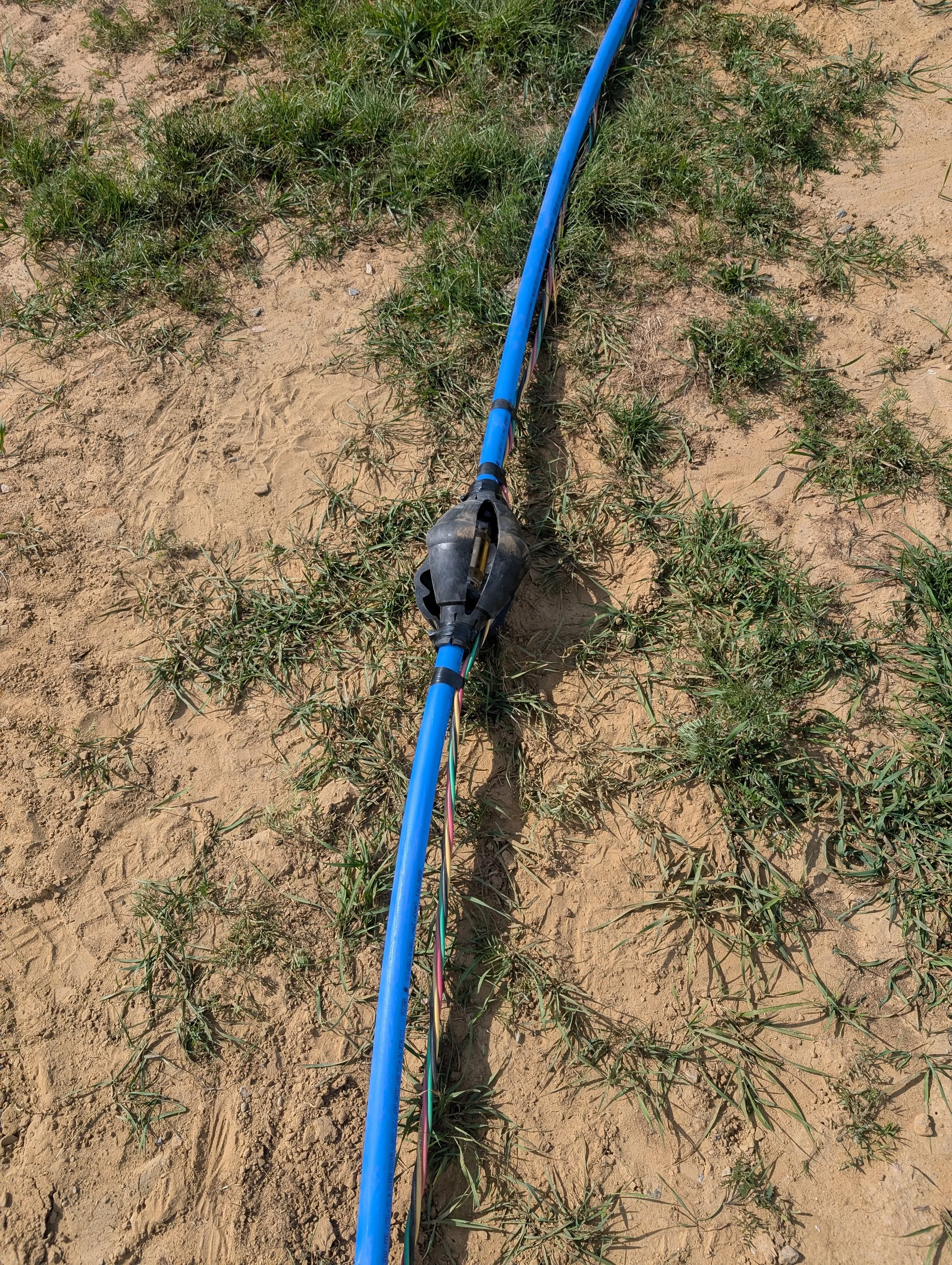 View of an outdoor area with a sandy ground and green grass patches, featuring a blue garden hose or sprinkler lying on the ground.