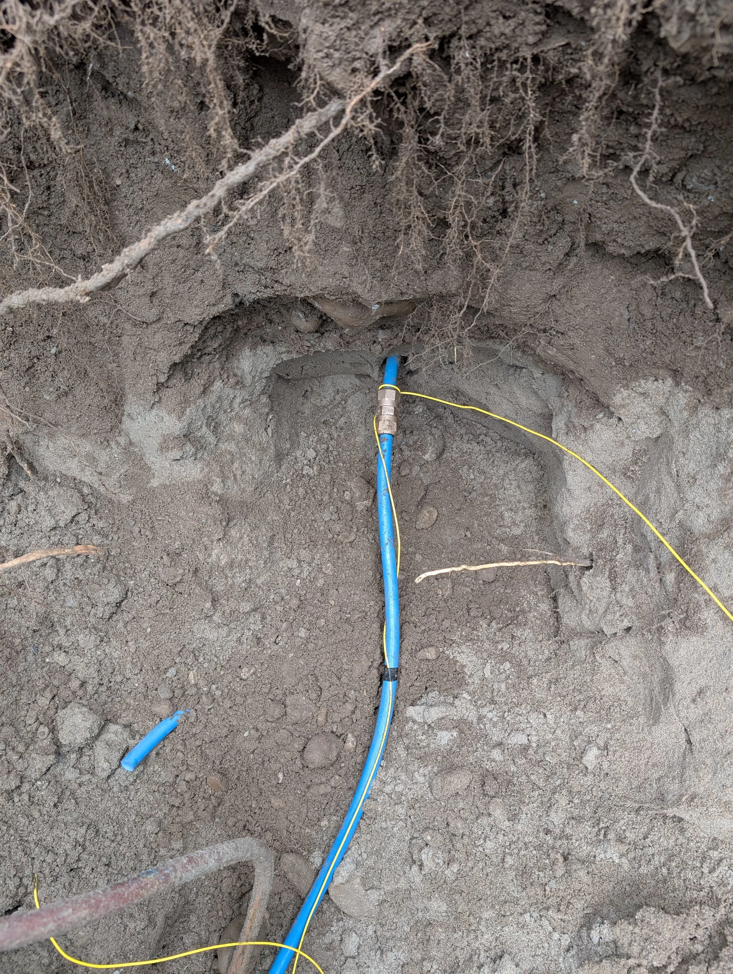 An underground installation of blue plumbing pipe with a valve, surrounded by soil and small roots.