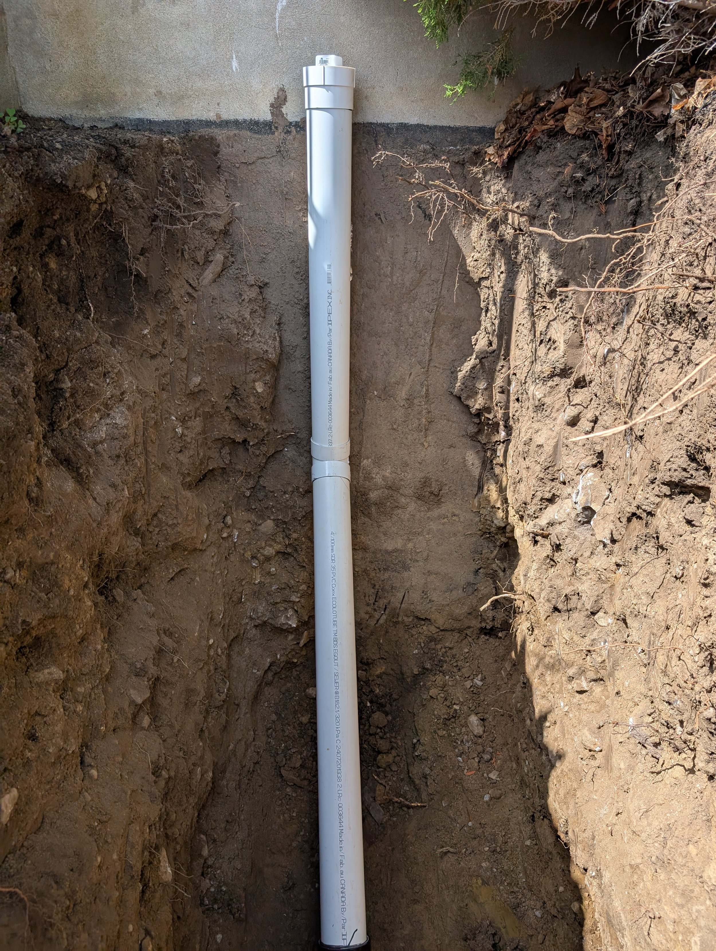 A white PVC pipe installed vertically in a trench with soil on both sides, partially exposed, next to a concrete wall and some green bushes.