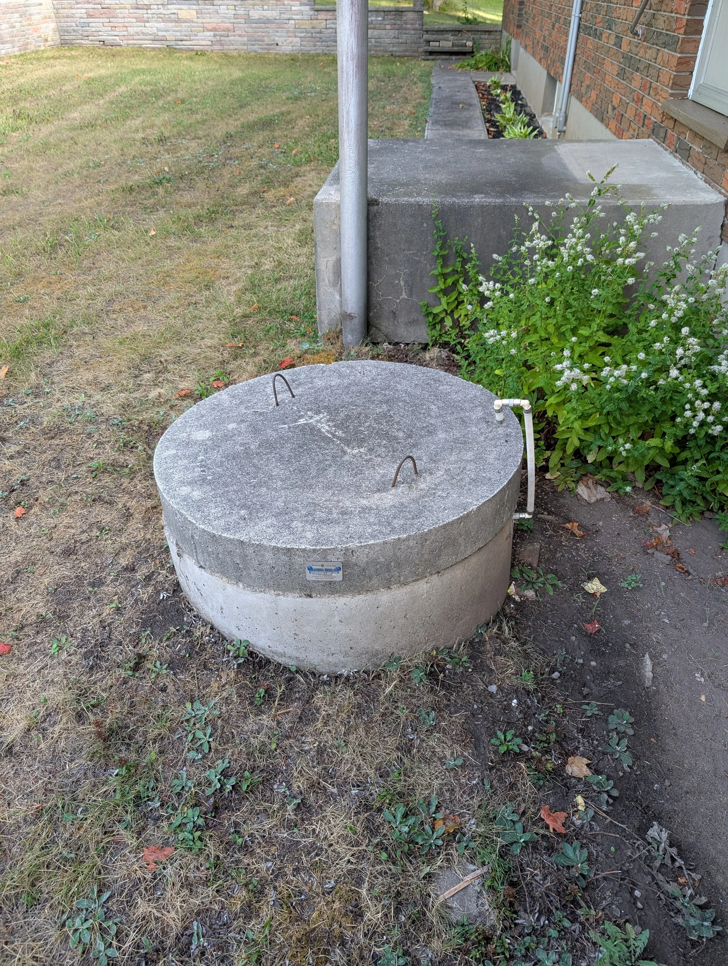 Outdoor scene showing a concrete well with a cover, a garden area, a grassy yard, a brick house wall, and some green plants and flowers along the building foundation.