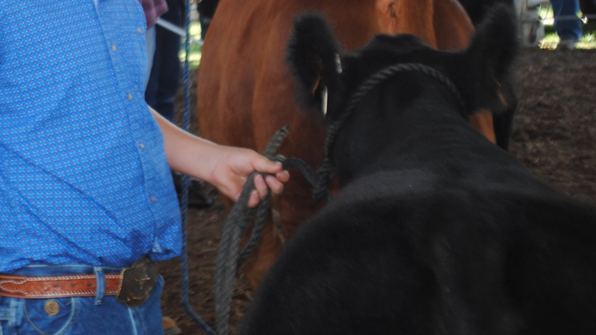 Top 9 things parents should remember during the fair