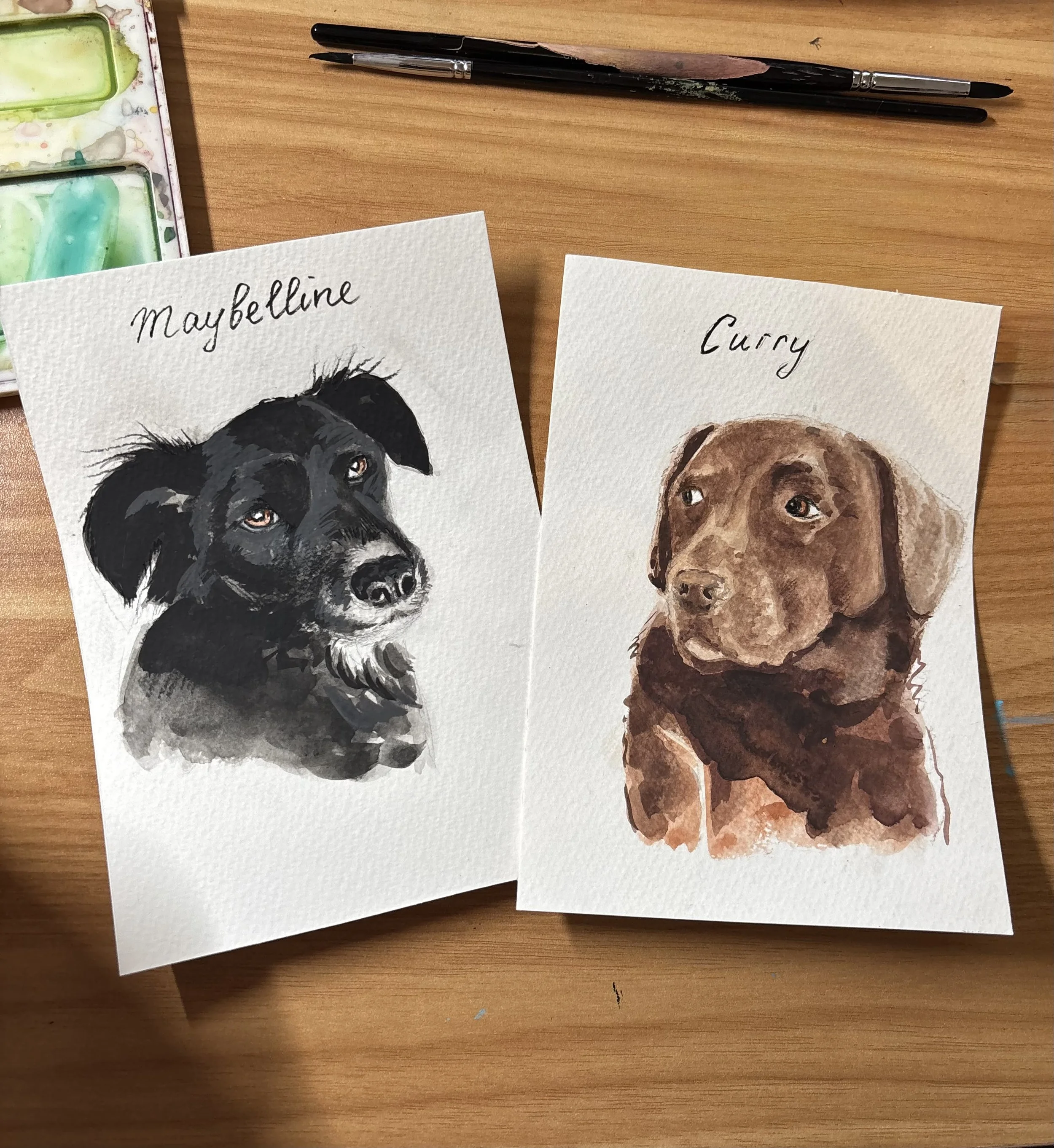 Quick Pet Portrait Sketch