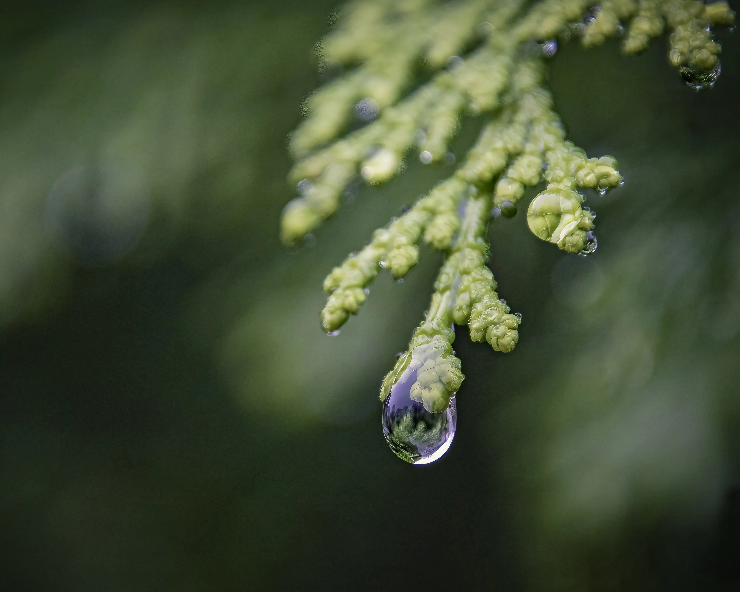 Its all in the Drop.jpg