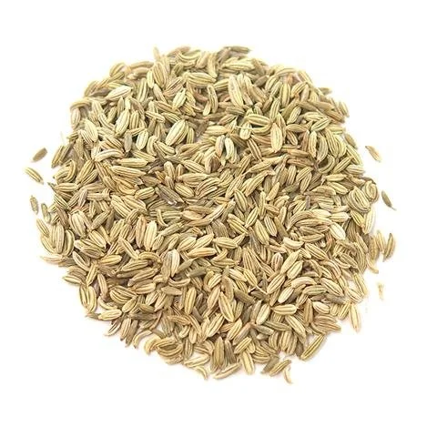 Fennel Seeds.jpg