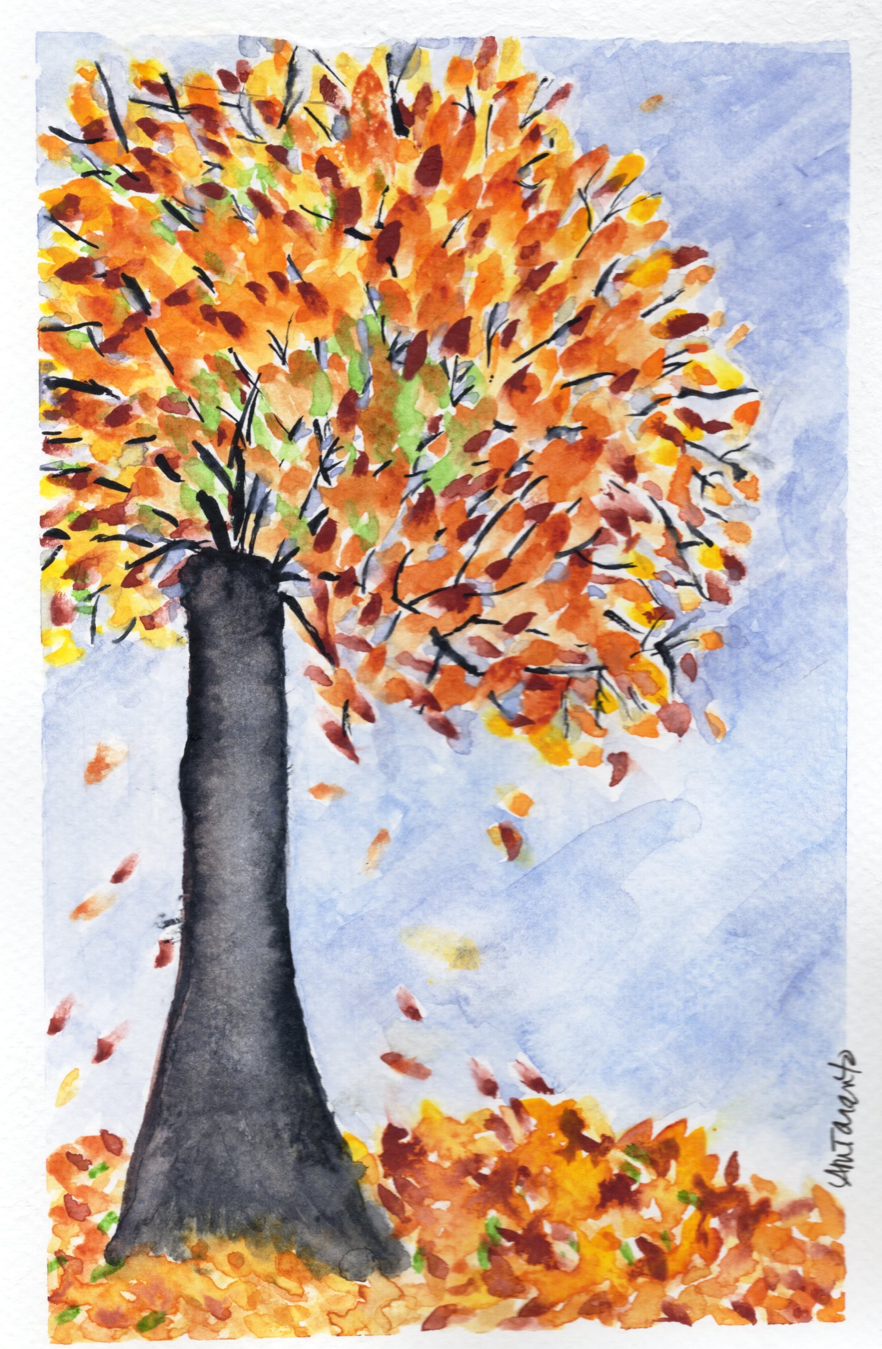 Trees Fall.jpg