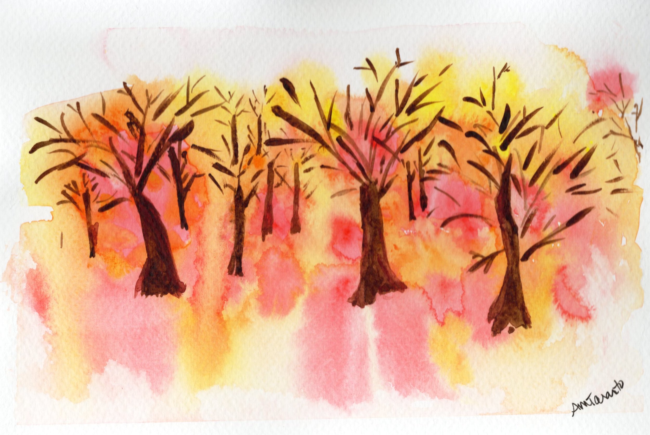 Trees abstract 1.jpg