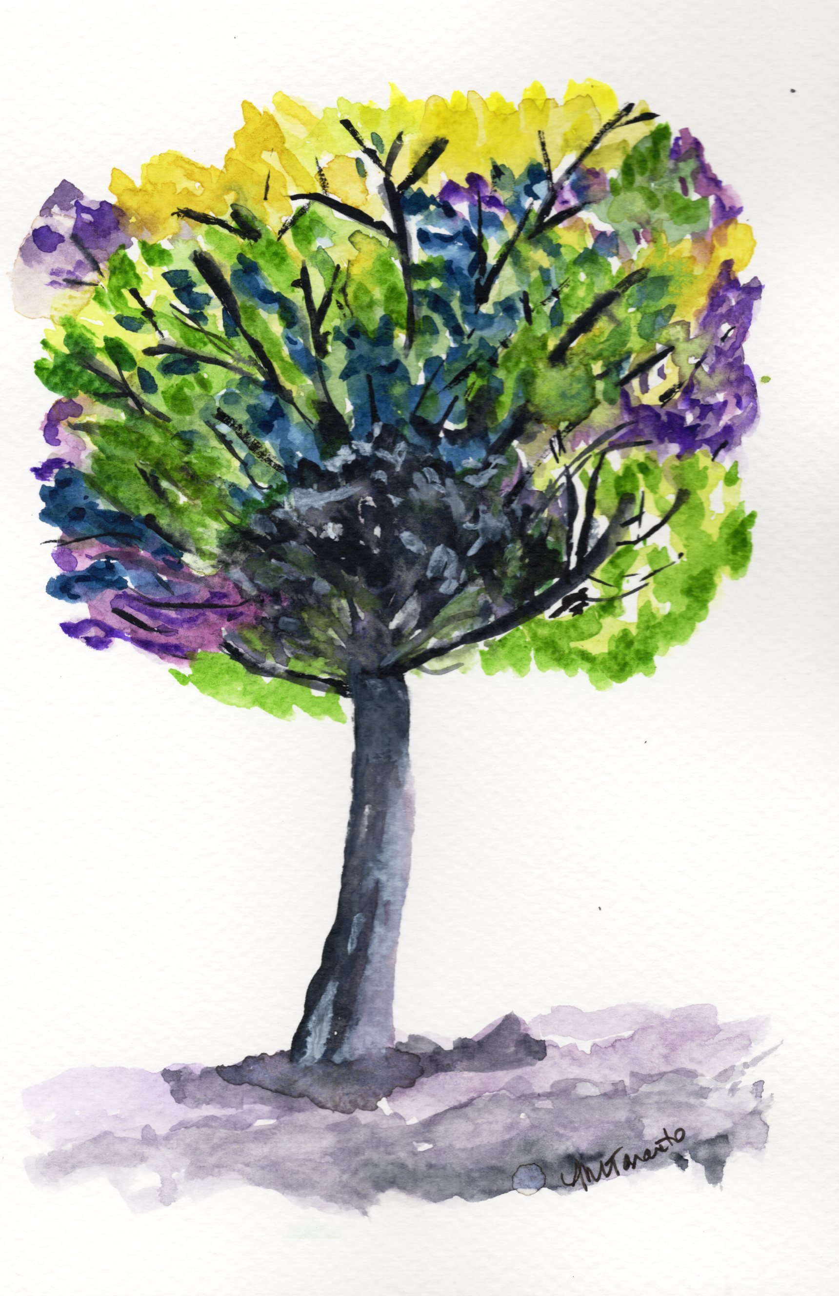 Trees Summer.jpg