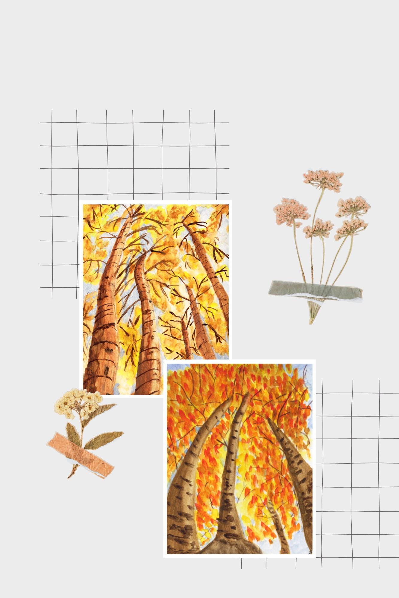 Fall Looking Up Art Prints