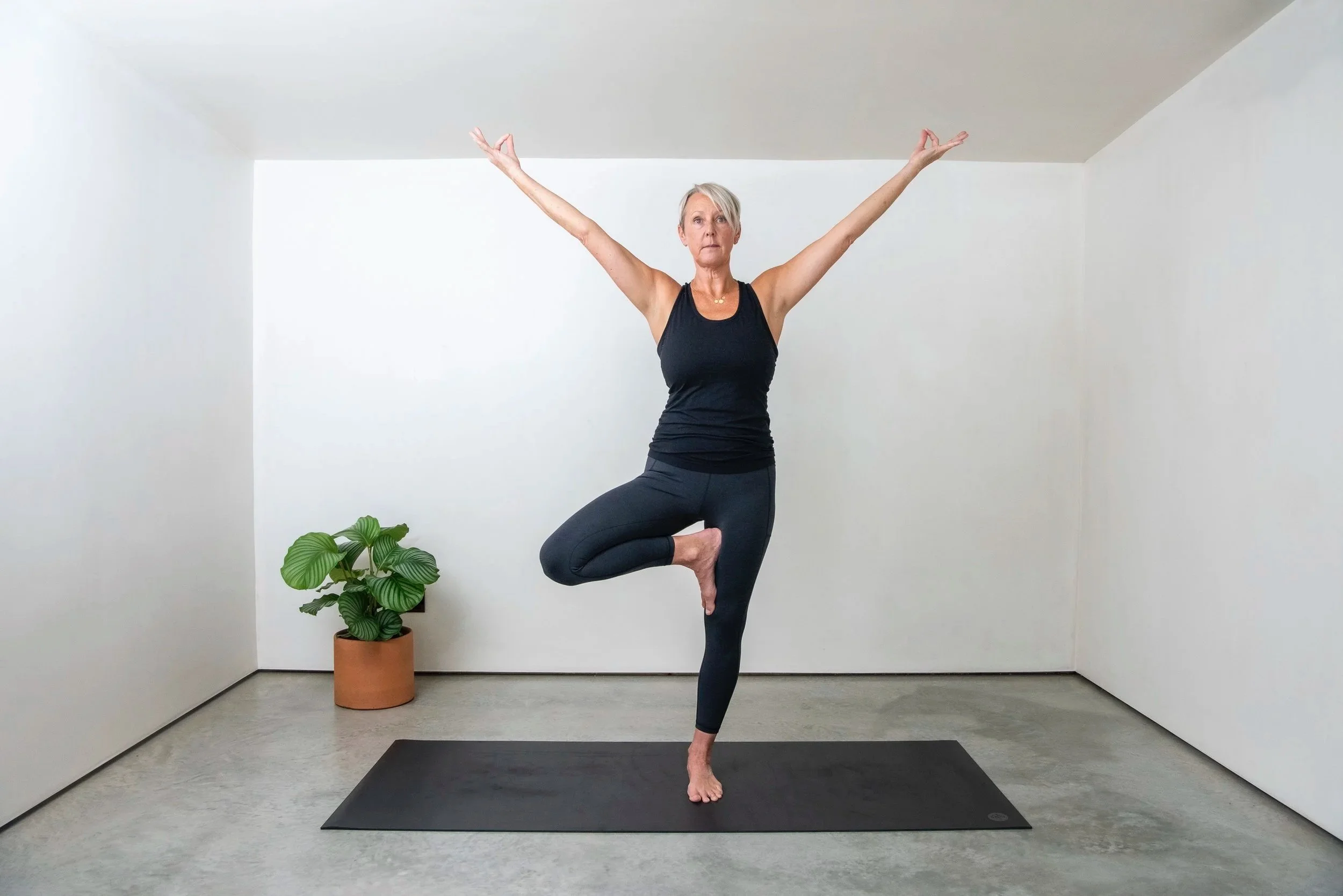 vrksasana - tree pose