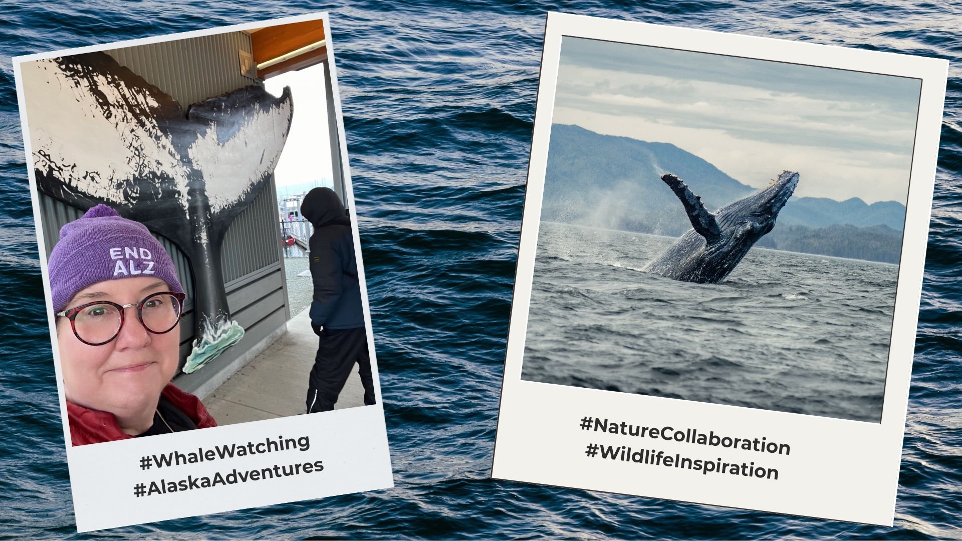 🐋 Humpback Whales & Collaboration