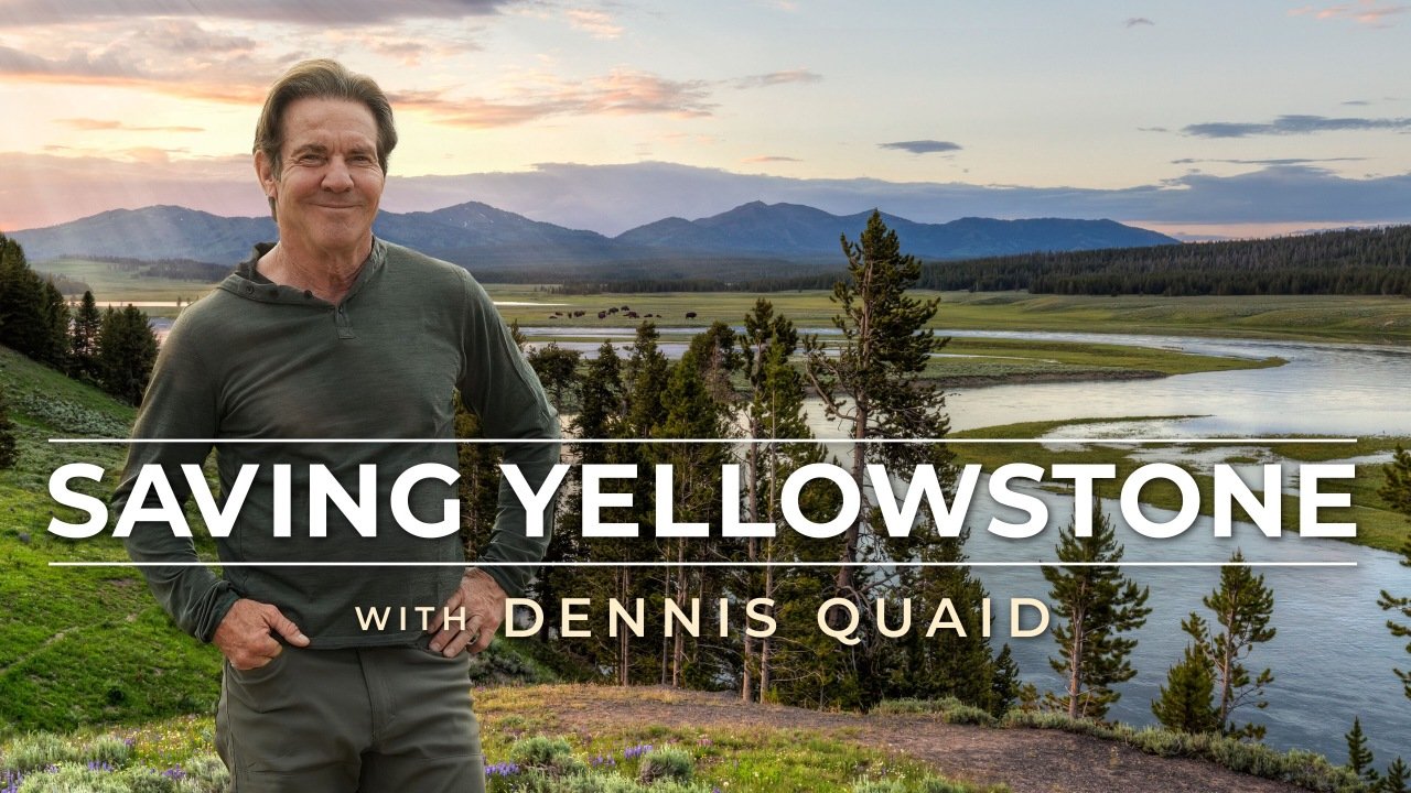 SAVING YELLOWSTONE (2025)