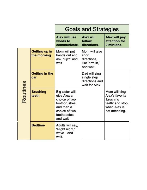 Routines Based Intervention Goals Completed Chart Example