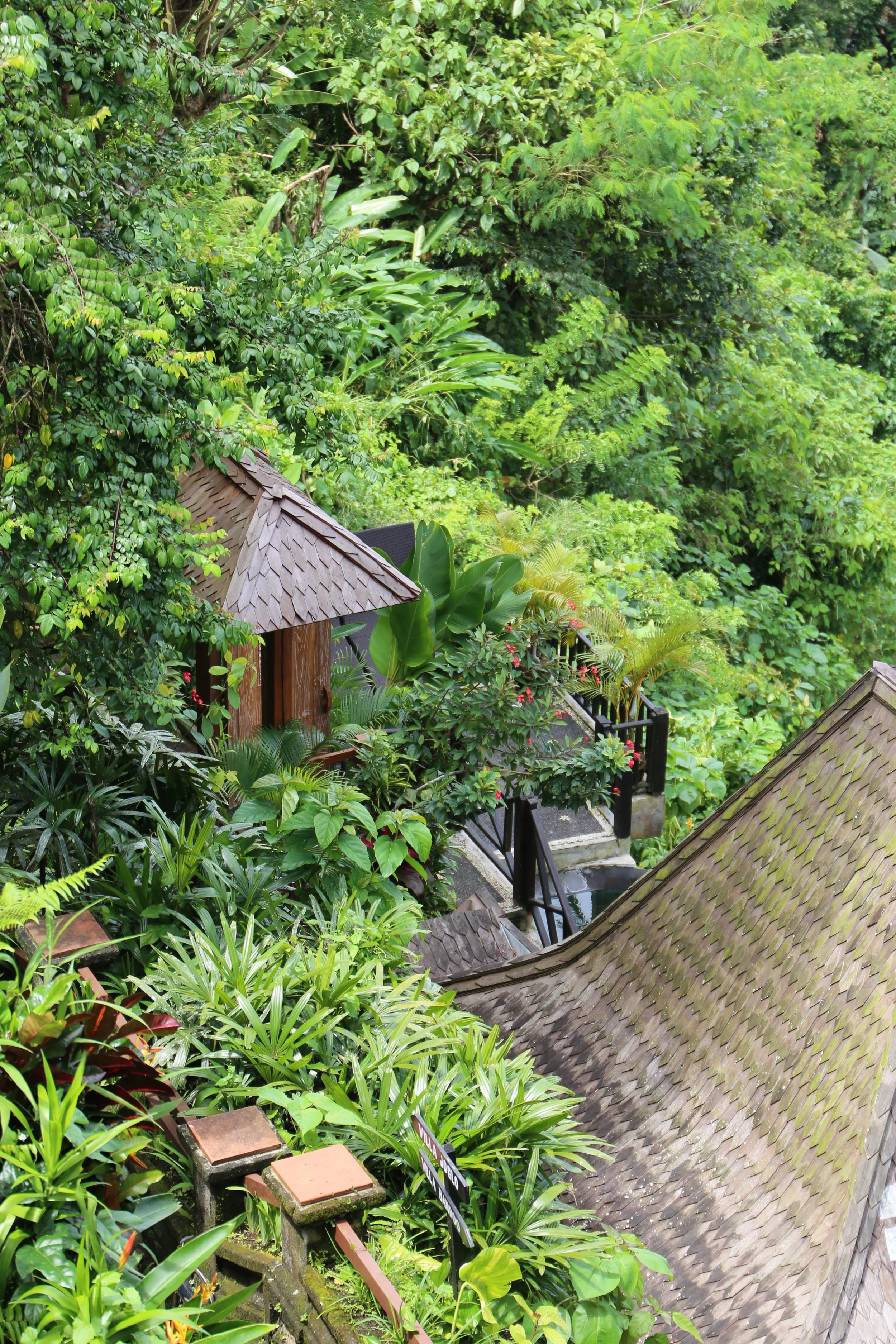 Leona Valley View: Bali’s Hidden Gem of Tranquility and Sophistication