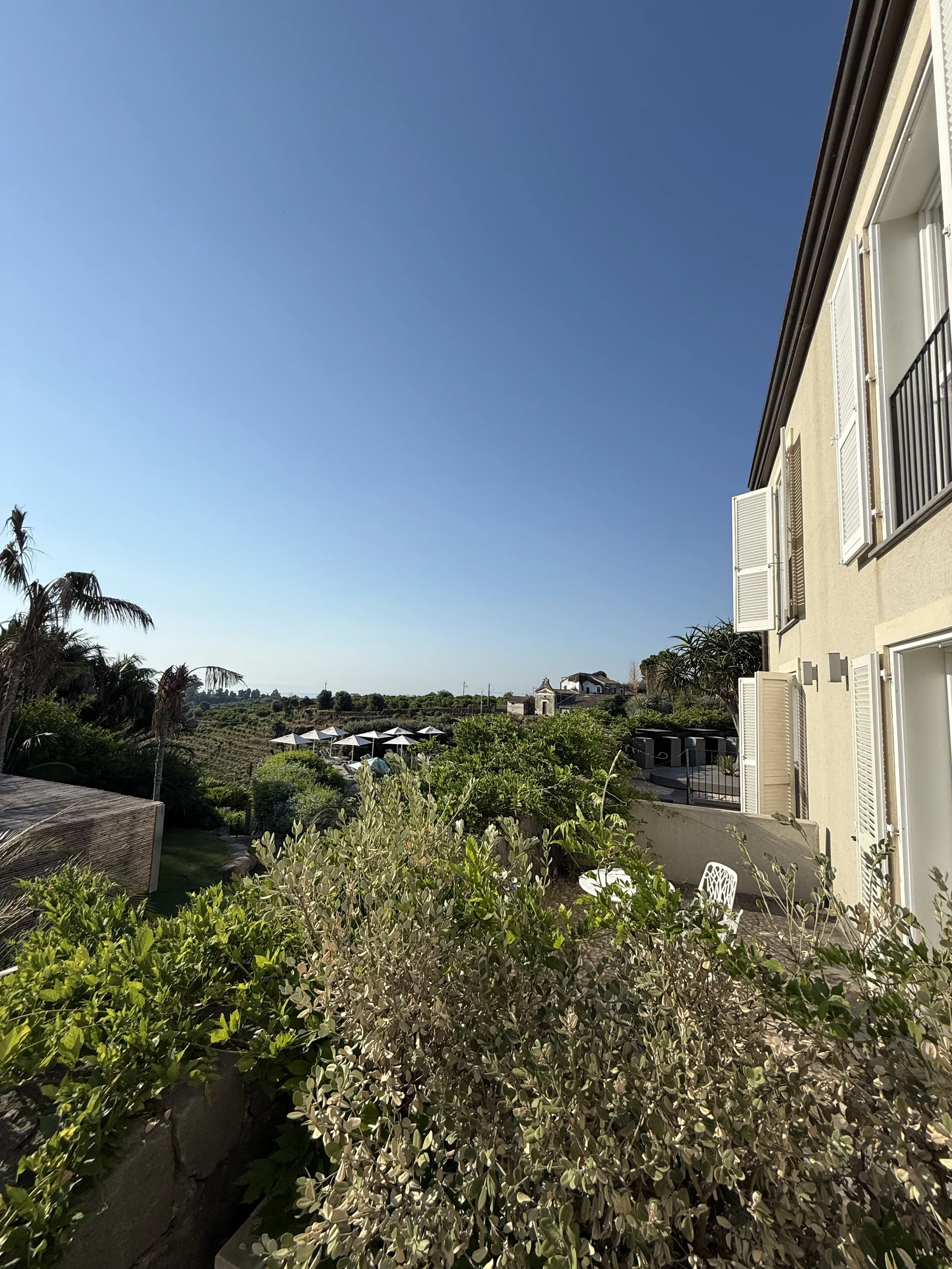 6_morning view.jpeg