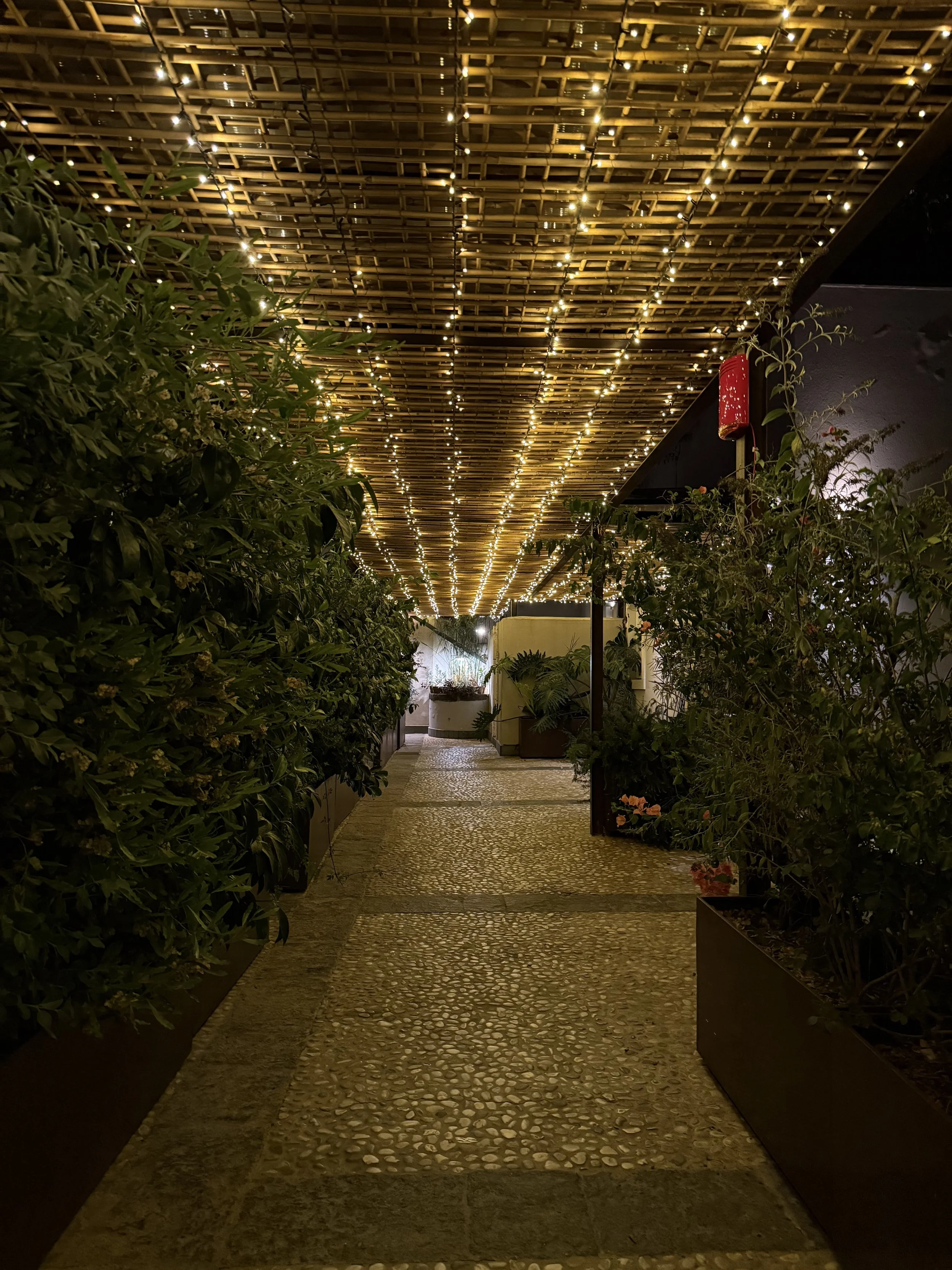 1_Entrance at night.jpeg