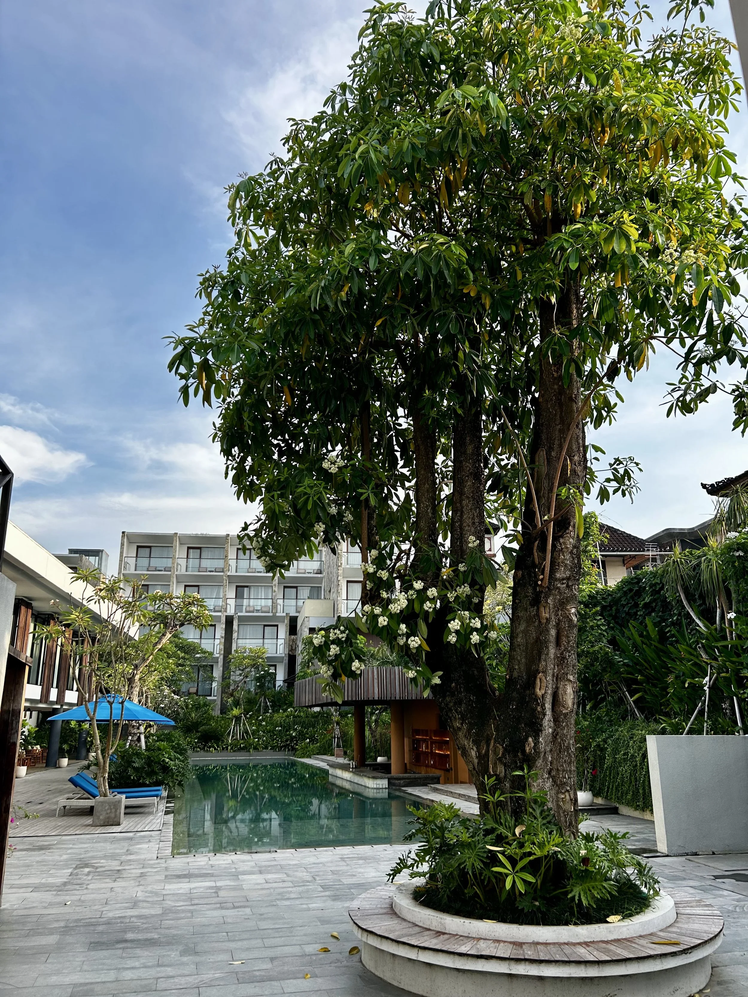 Dialoog Seminyak: Stylish Modern Retreat in the Heart of Seminyak