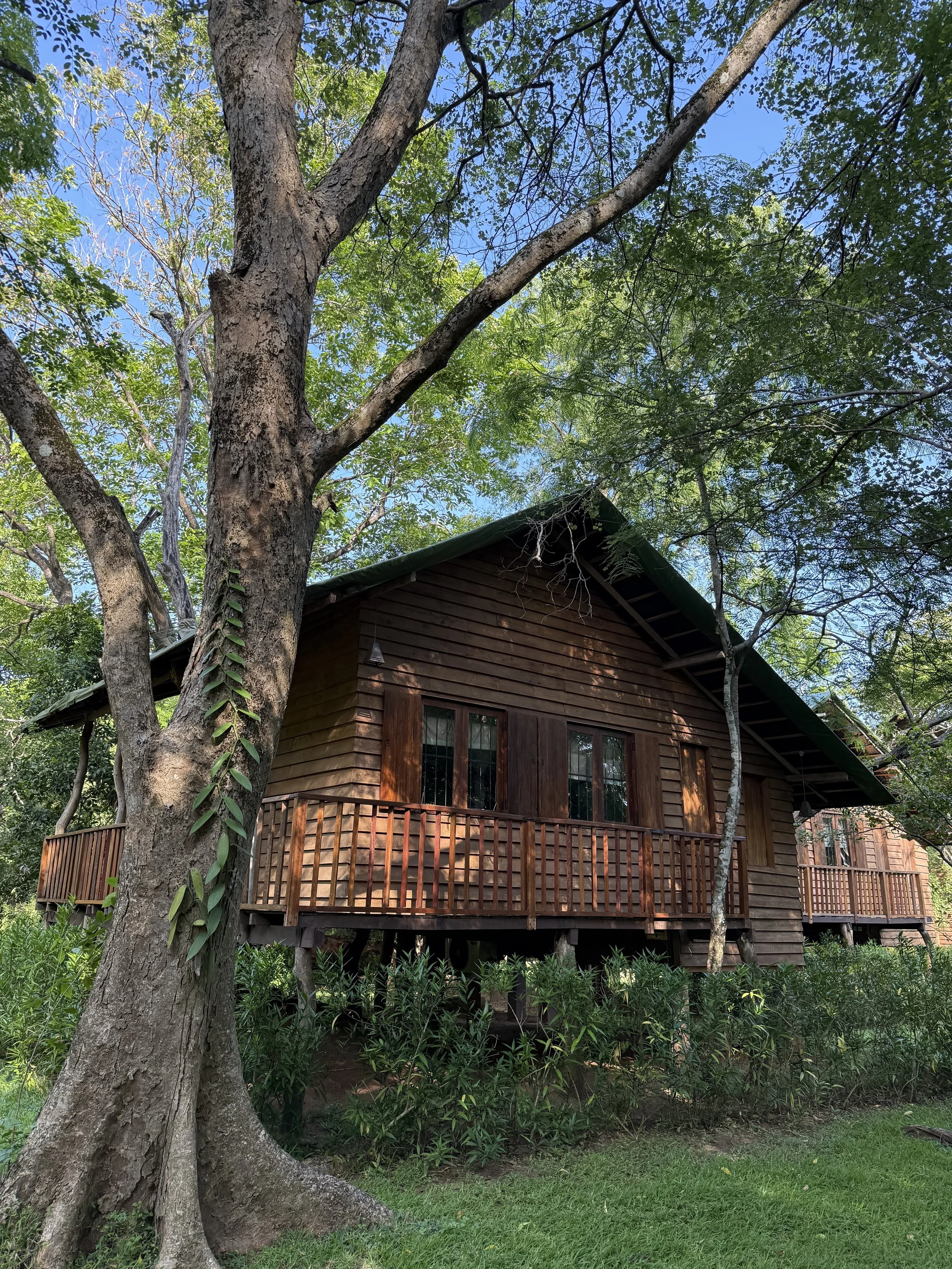 A Transformative Stay in the Heart of the Sri Lankan Jungle at The Other Corner Habarana