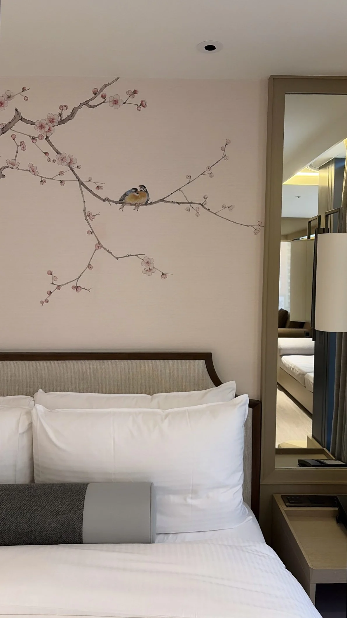 room6.jpg