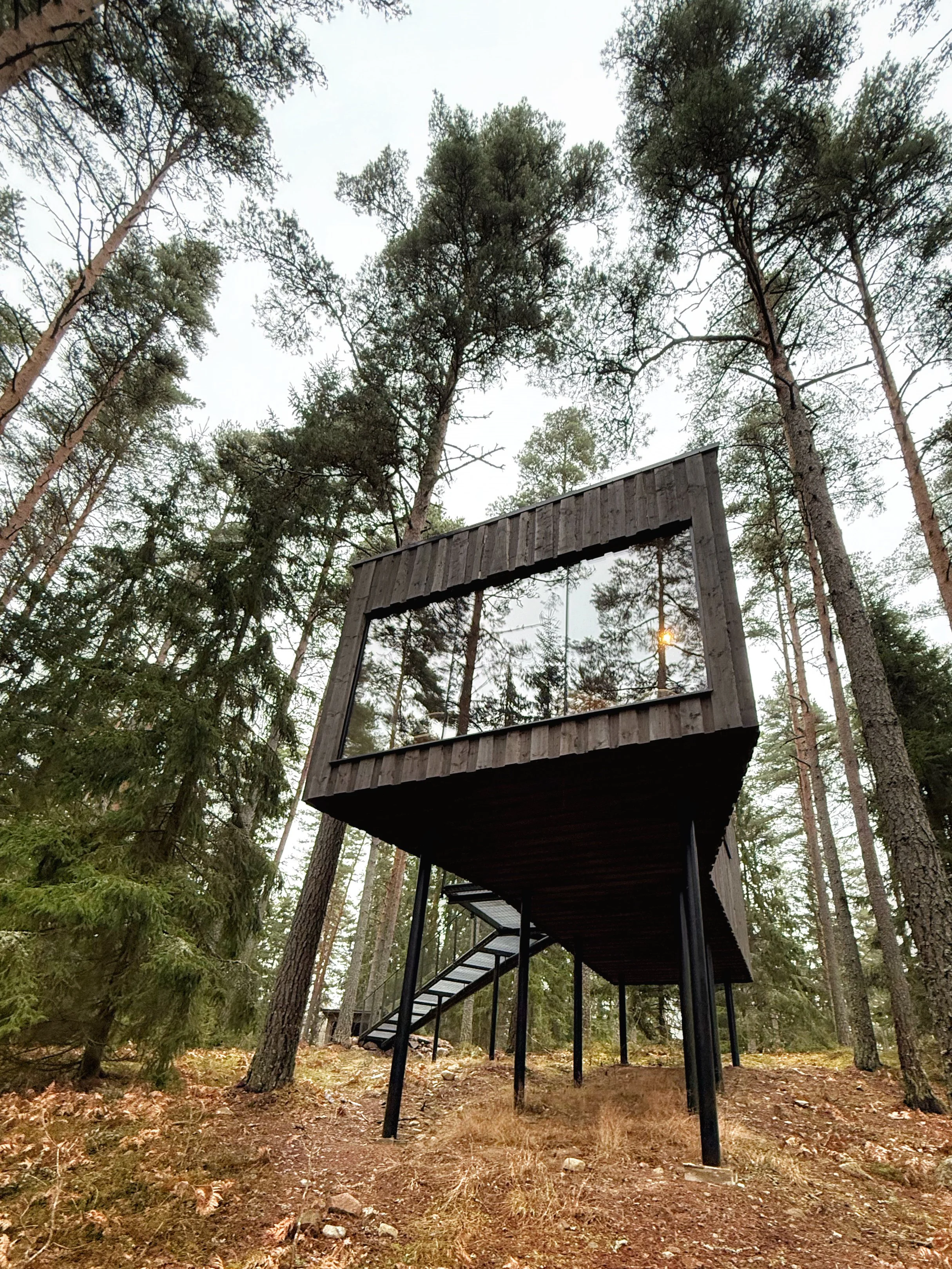Trakt Forest Hotel: A Forest Escape That Redefines Calm