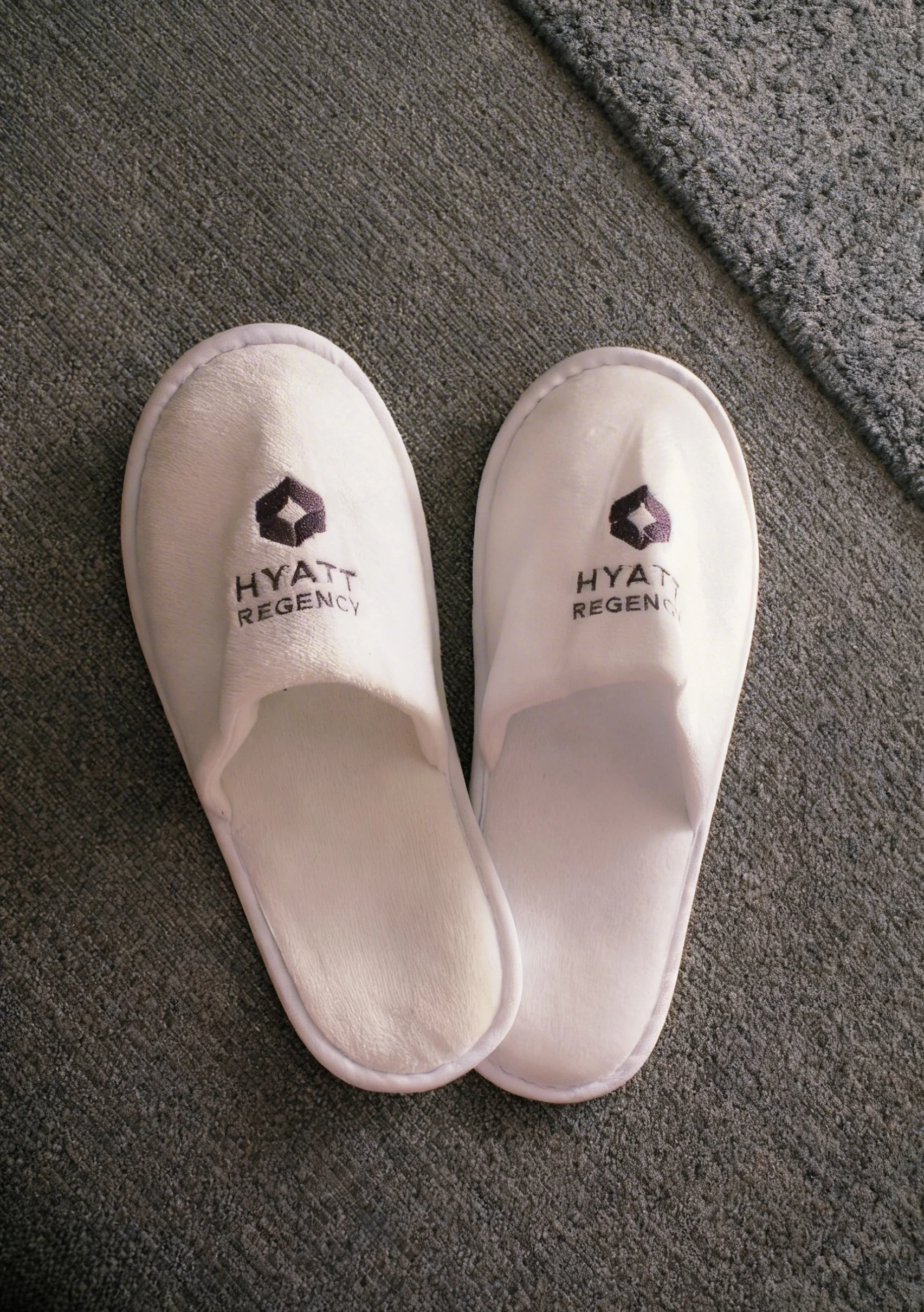 Hyatt Regency Madrid-12.jpg