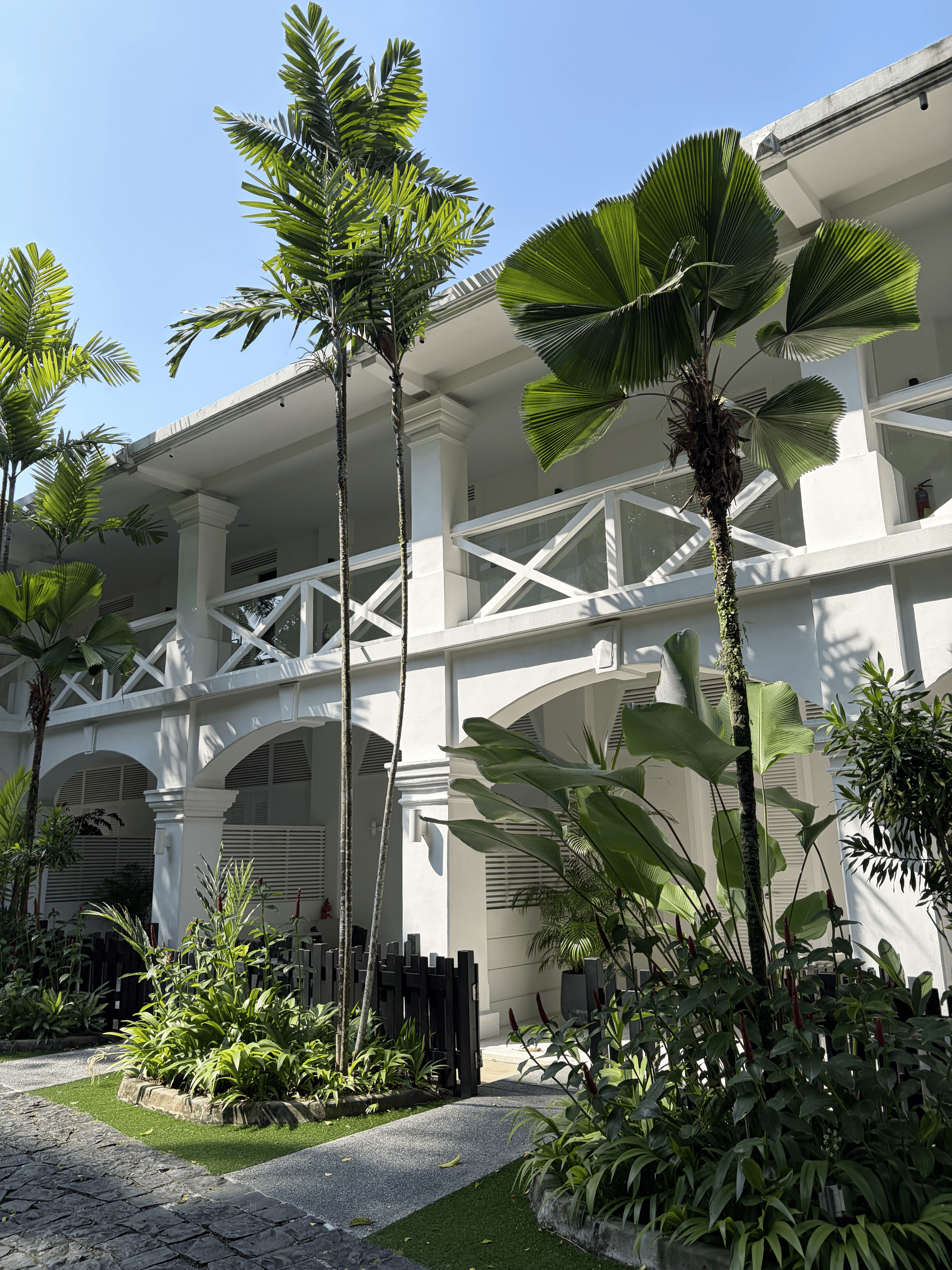 A Hidden Sanctuary in the Heart of Singapore